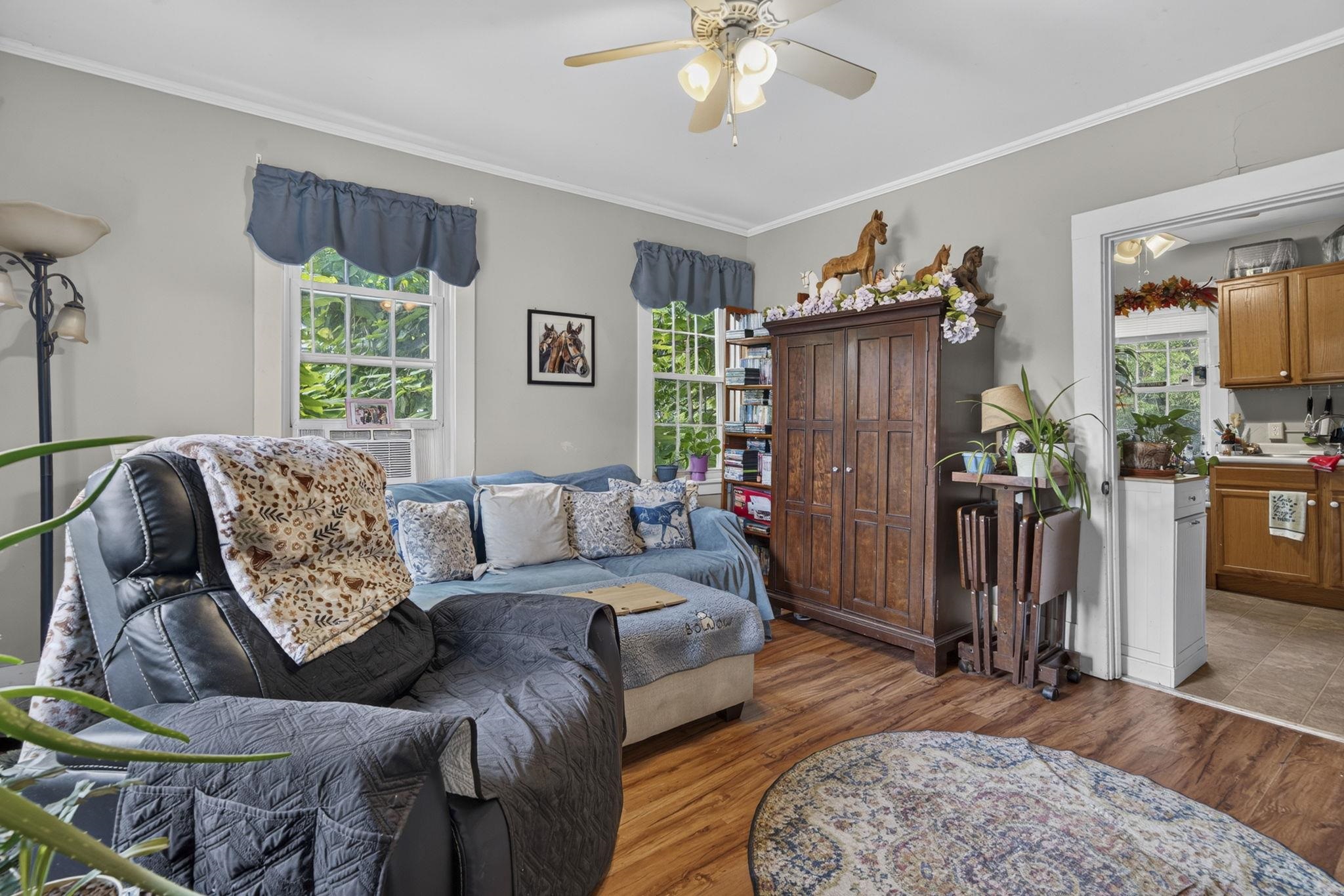 7 Island Street Property Photo 27