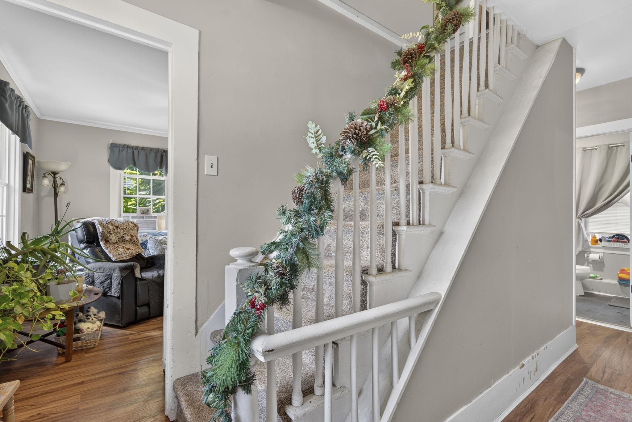 7 Island Street Property Photo 29