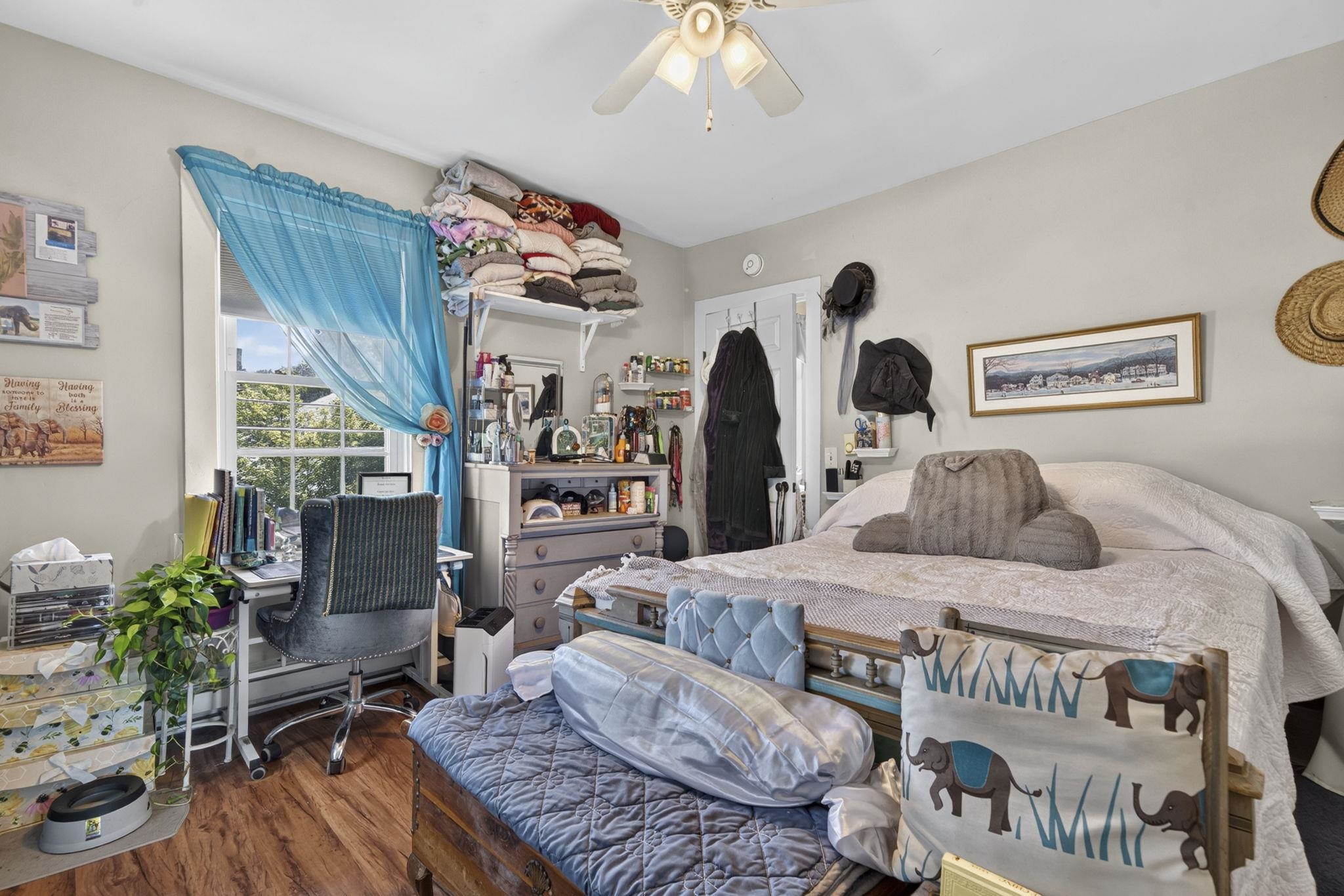 7 Island Street Property Photo 31
