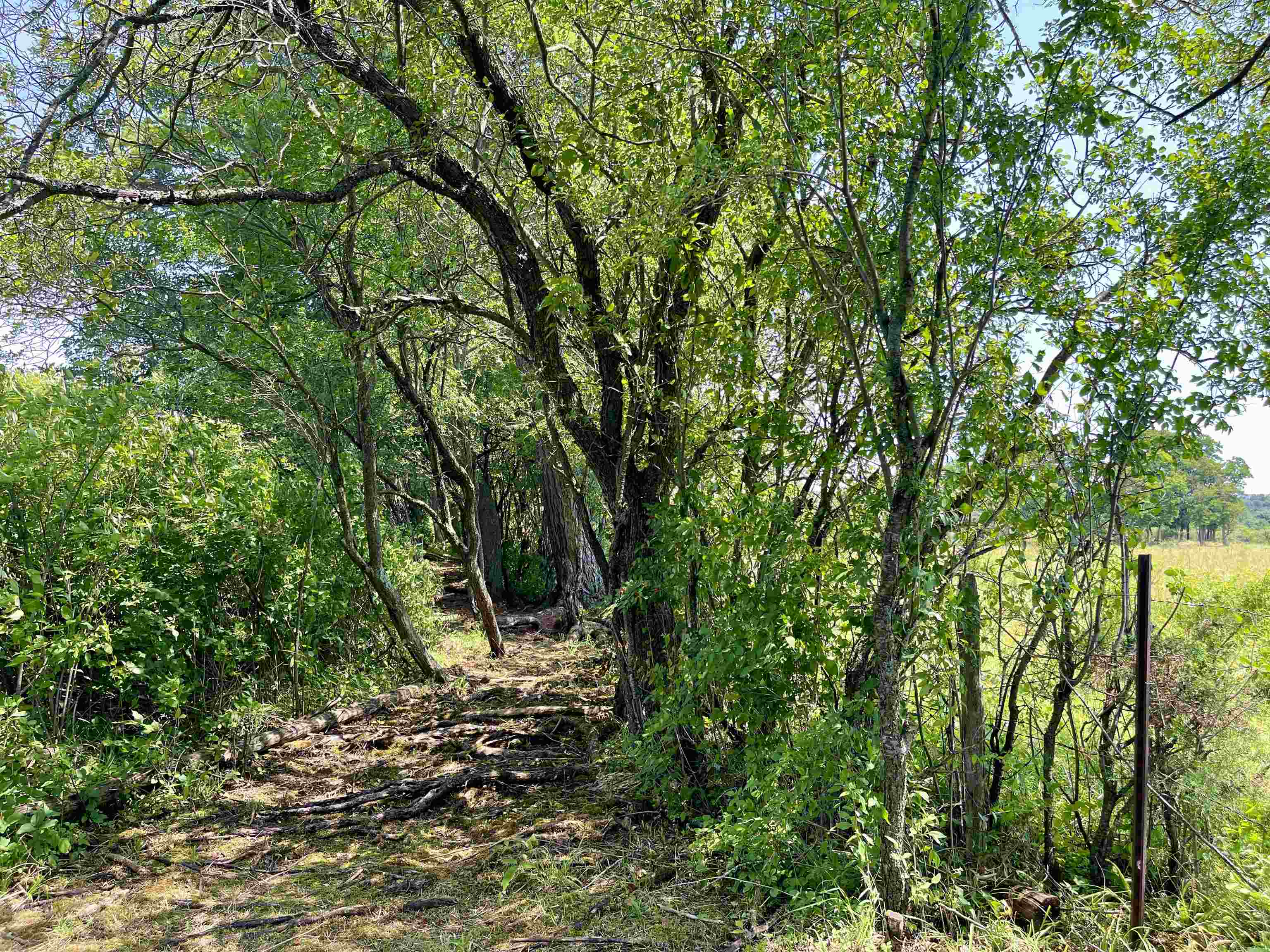 1017 Cheesefactory Road Property Photo 26