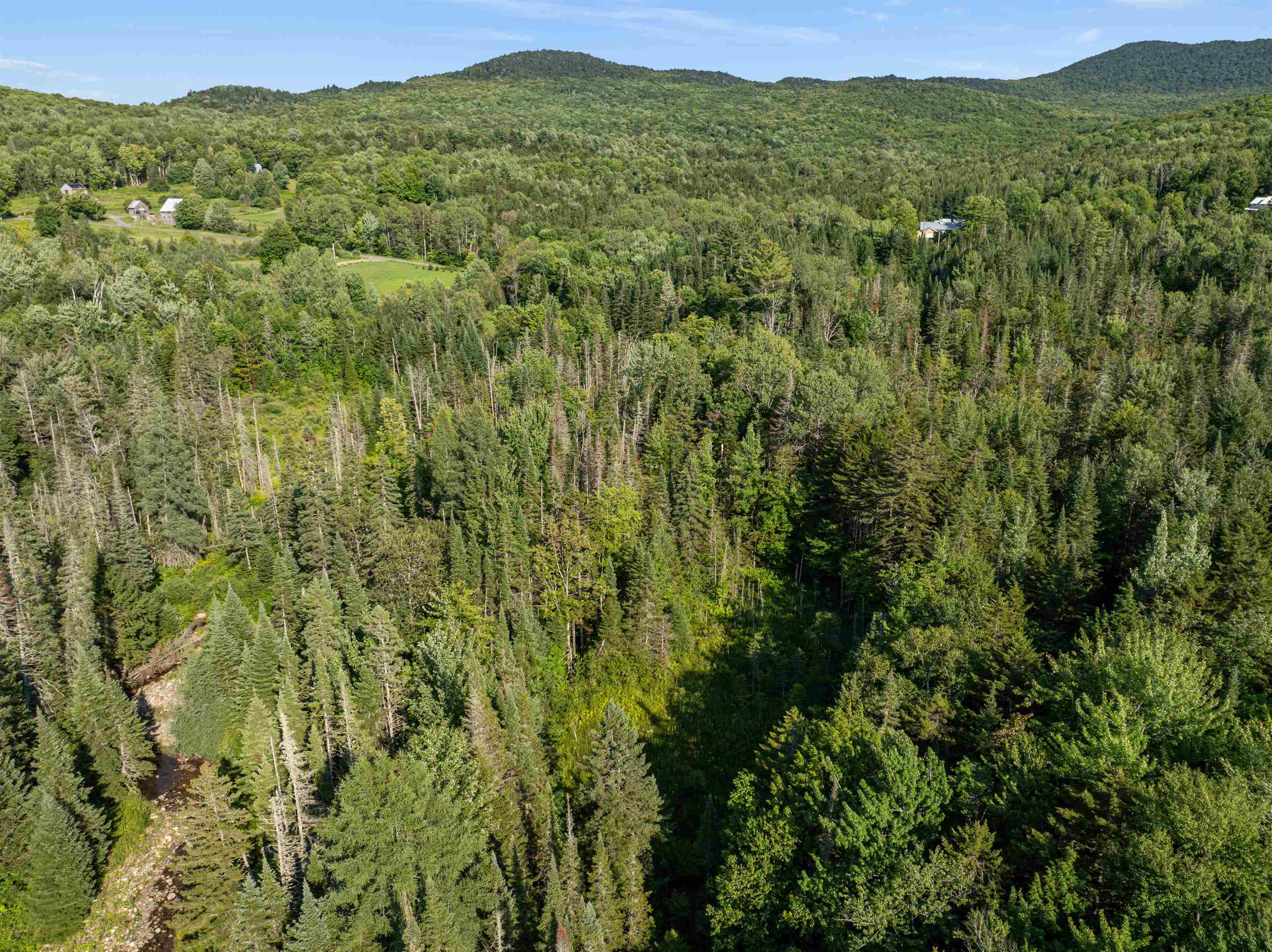 1019 Pinkham Road Property Photo 31