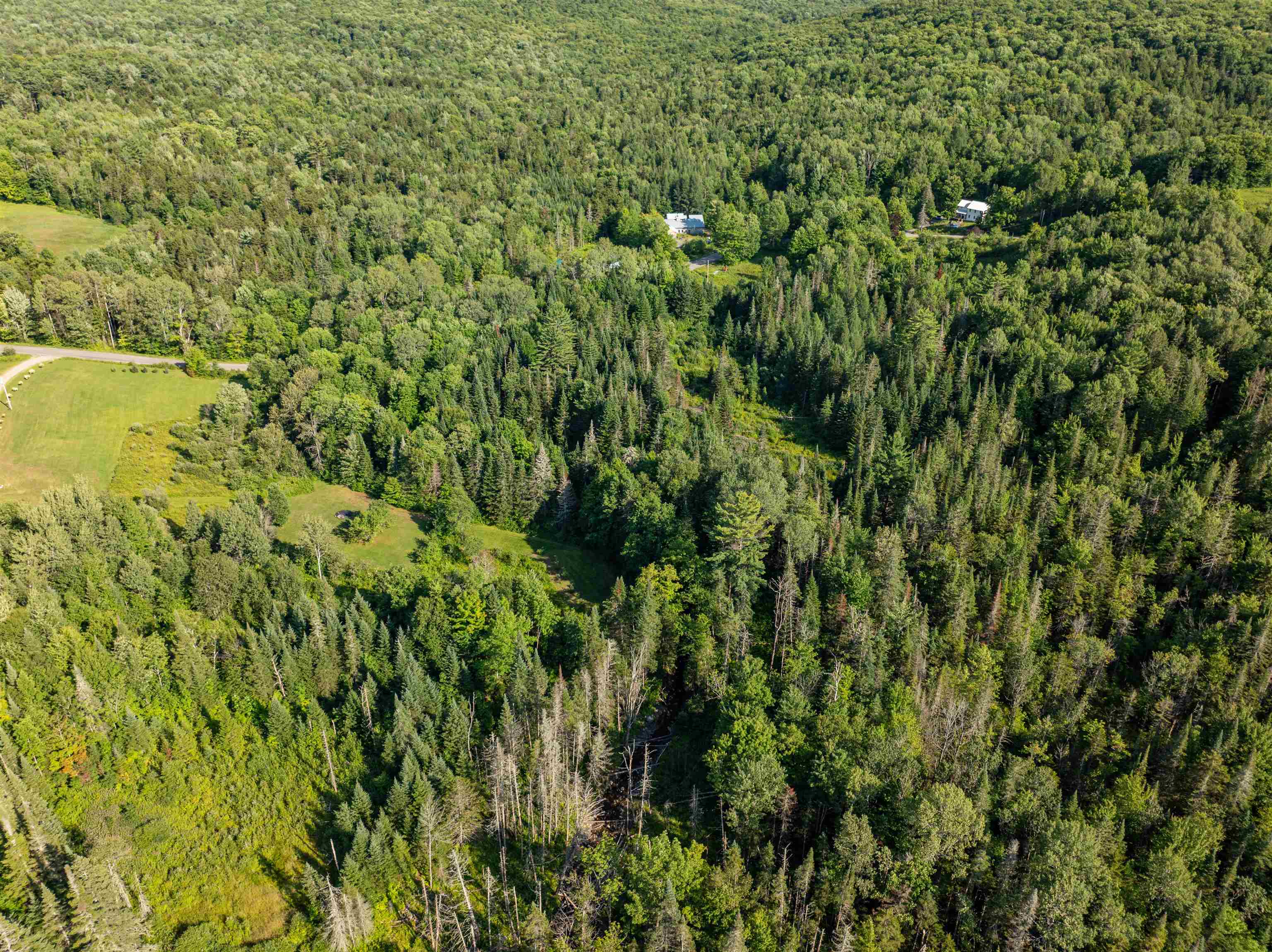 1019 Pinkham Road Property Photo 33
