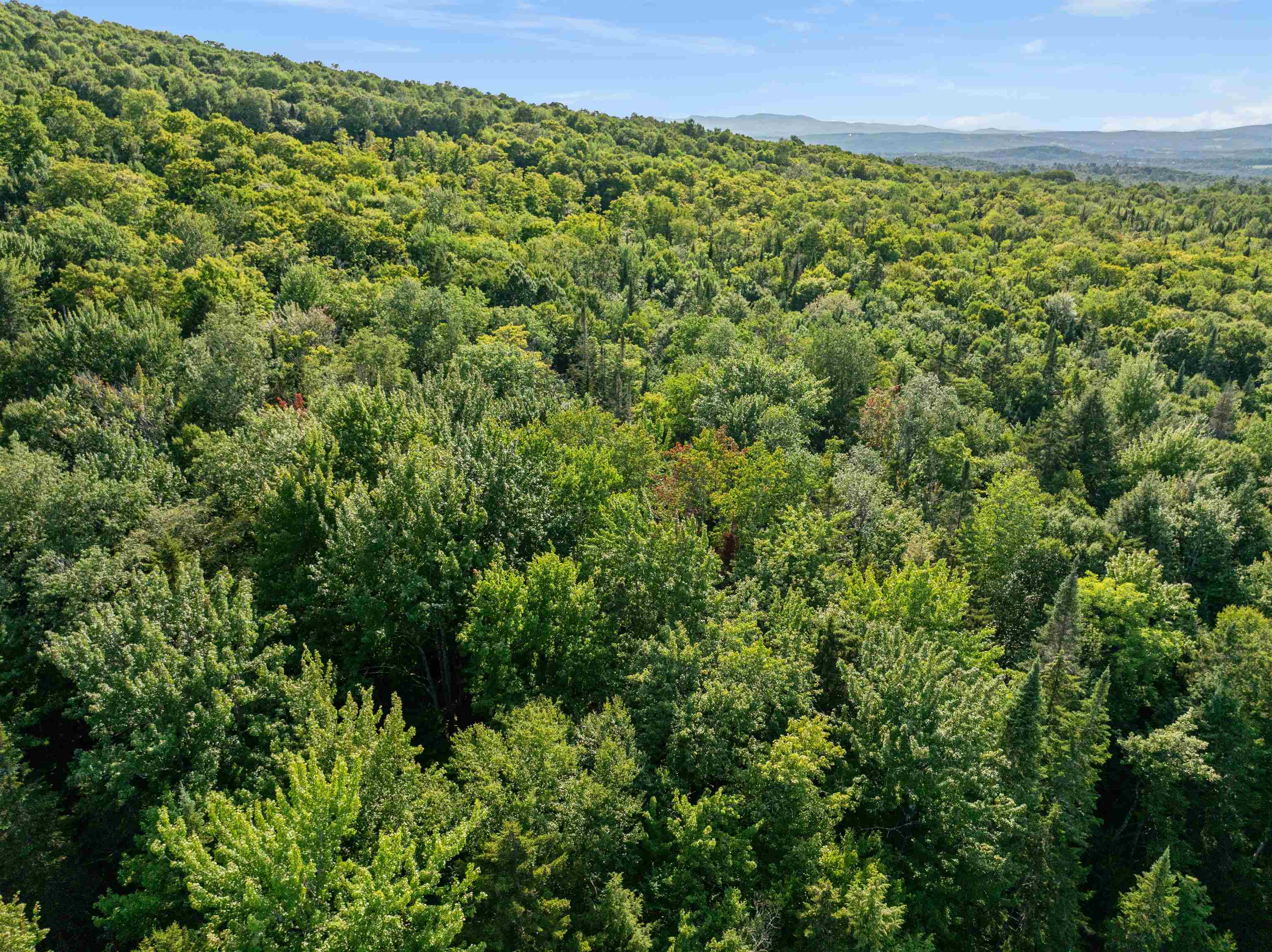 1019 Pinkham Road Property Photo 40