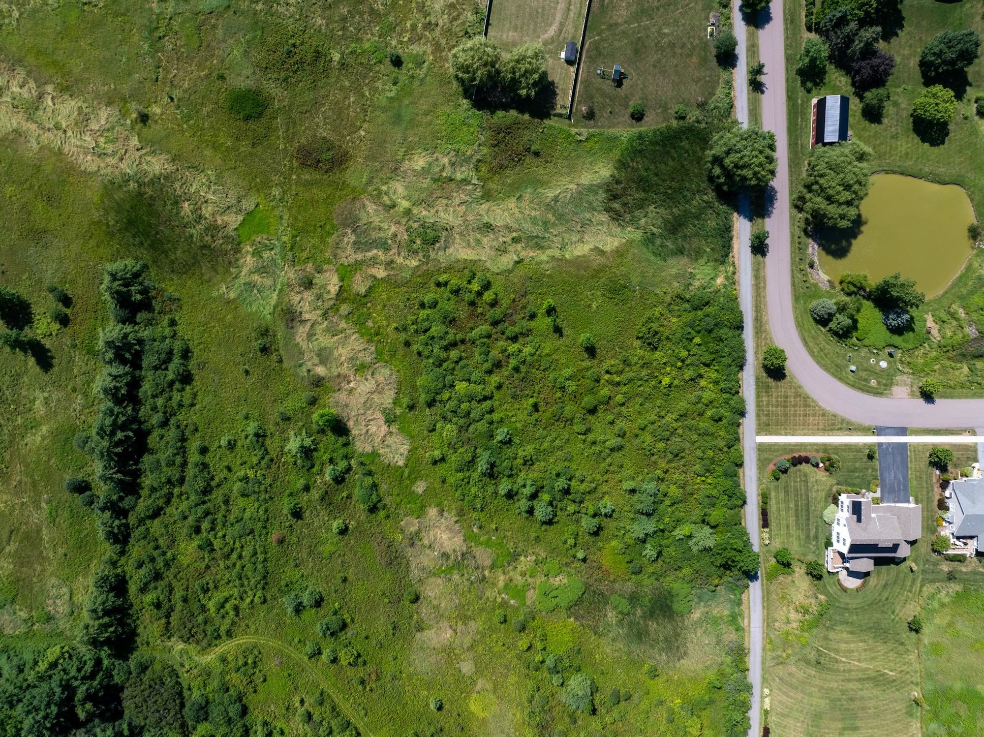 Lot 4 Sadie Lane Property Photo 19