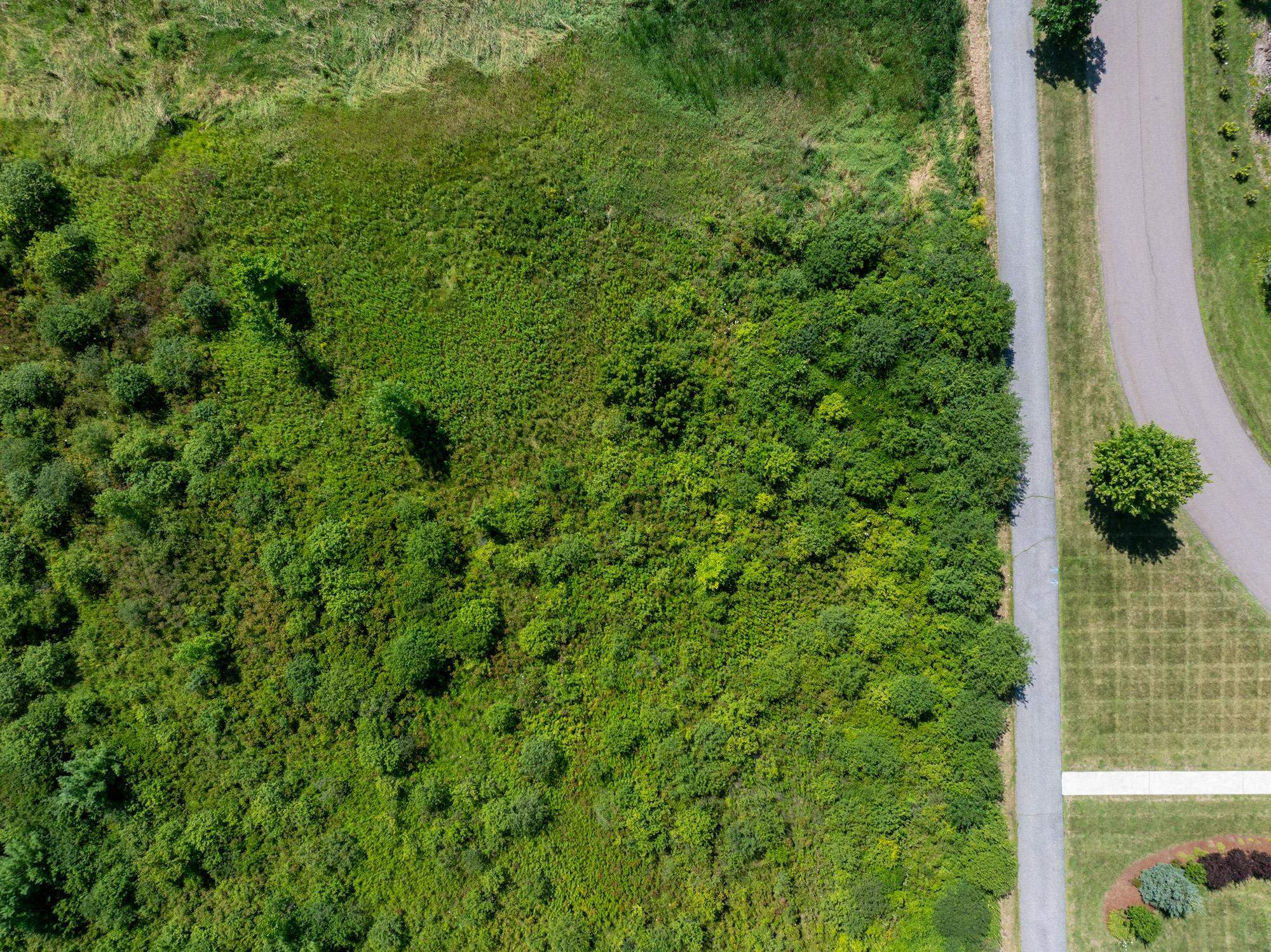 Lot 4 Sadie Lane Property Photo 20
