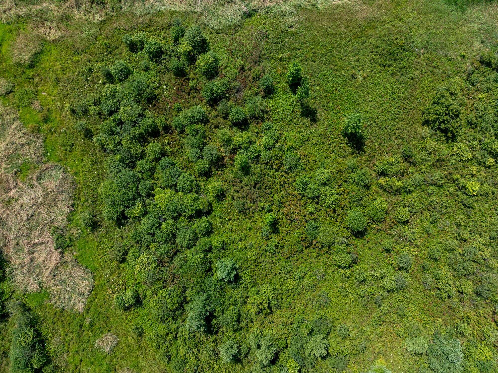 Lot 4 Sadie Lane Property Photo 21