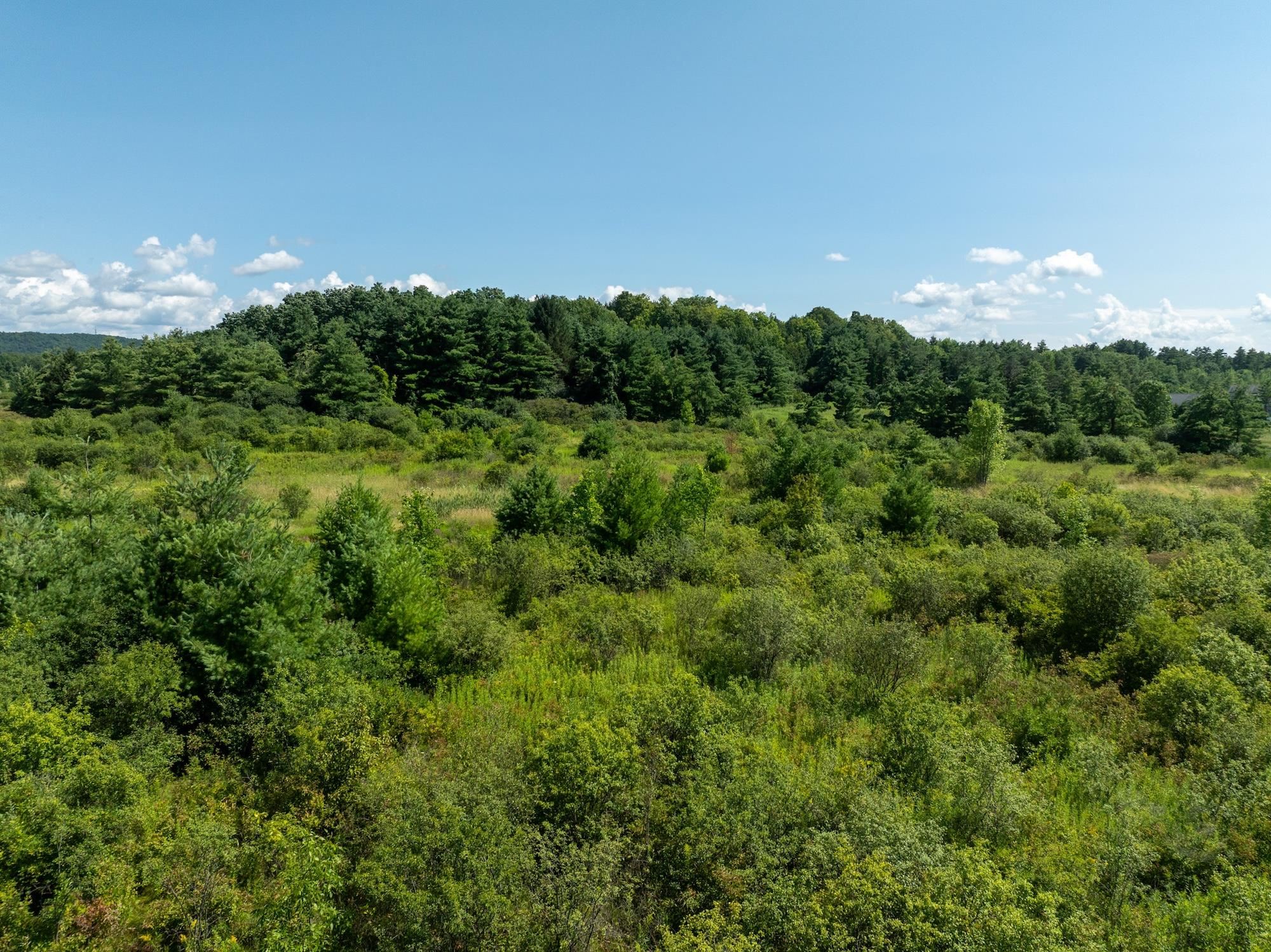 Lot 4 Sadie Lane Property Photo 24