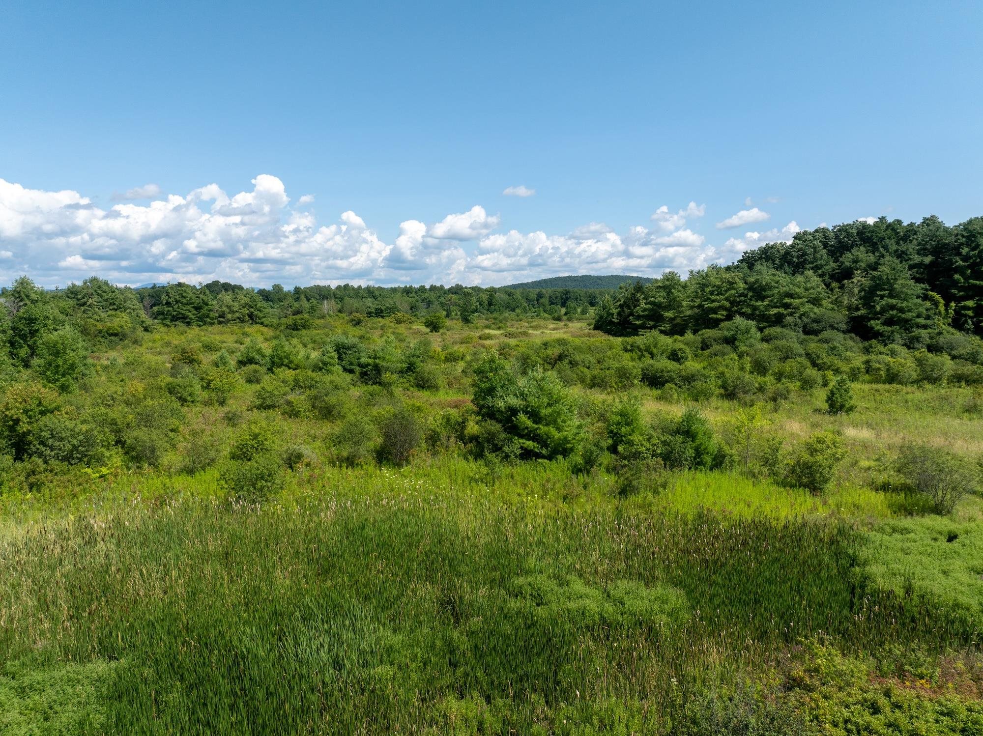 Lot 4 Sadie Lane Property Photo 25