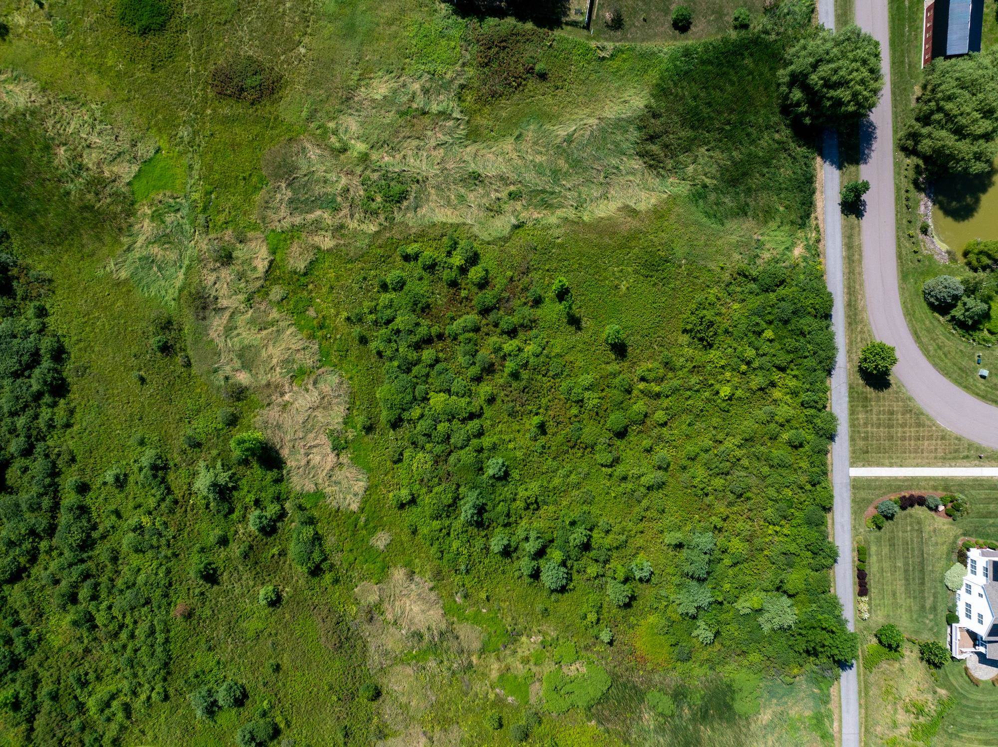 Lot 5 Sadie Lane Property Photo 12