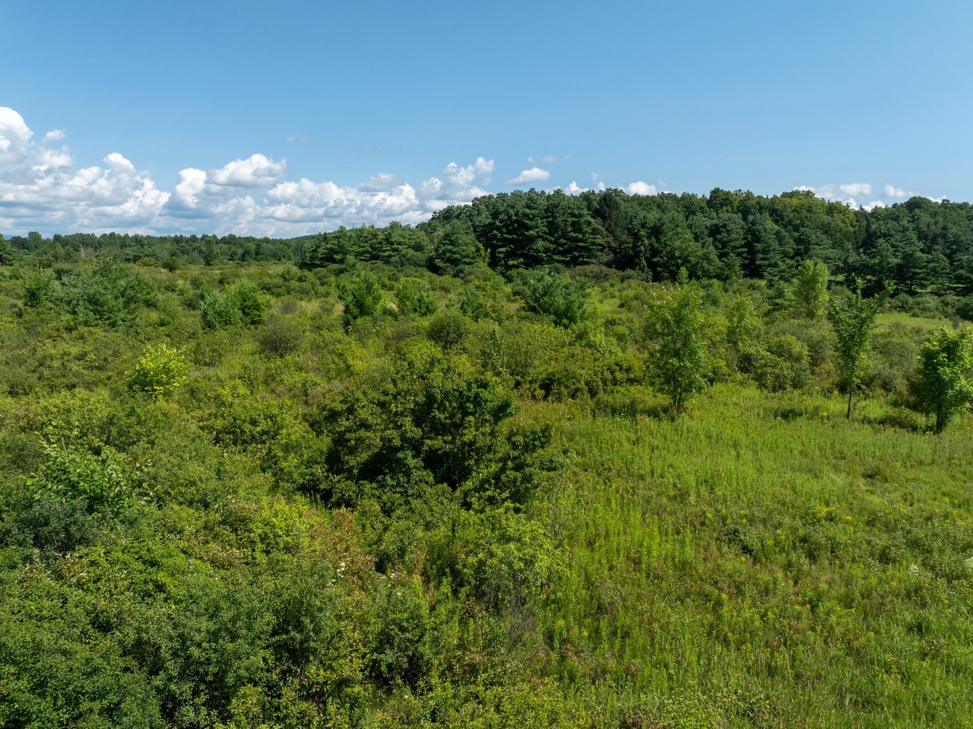 Lot 5 Sadie Lane Property Photo 23