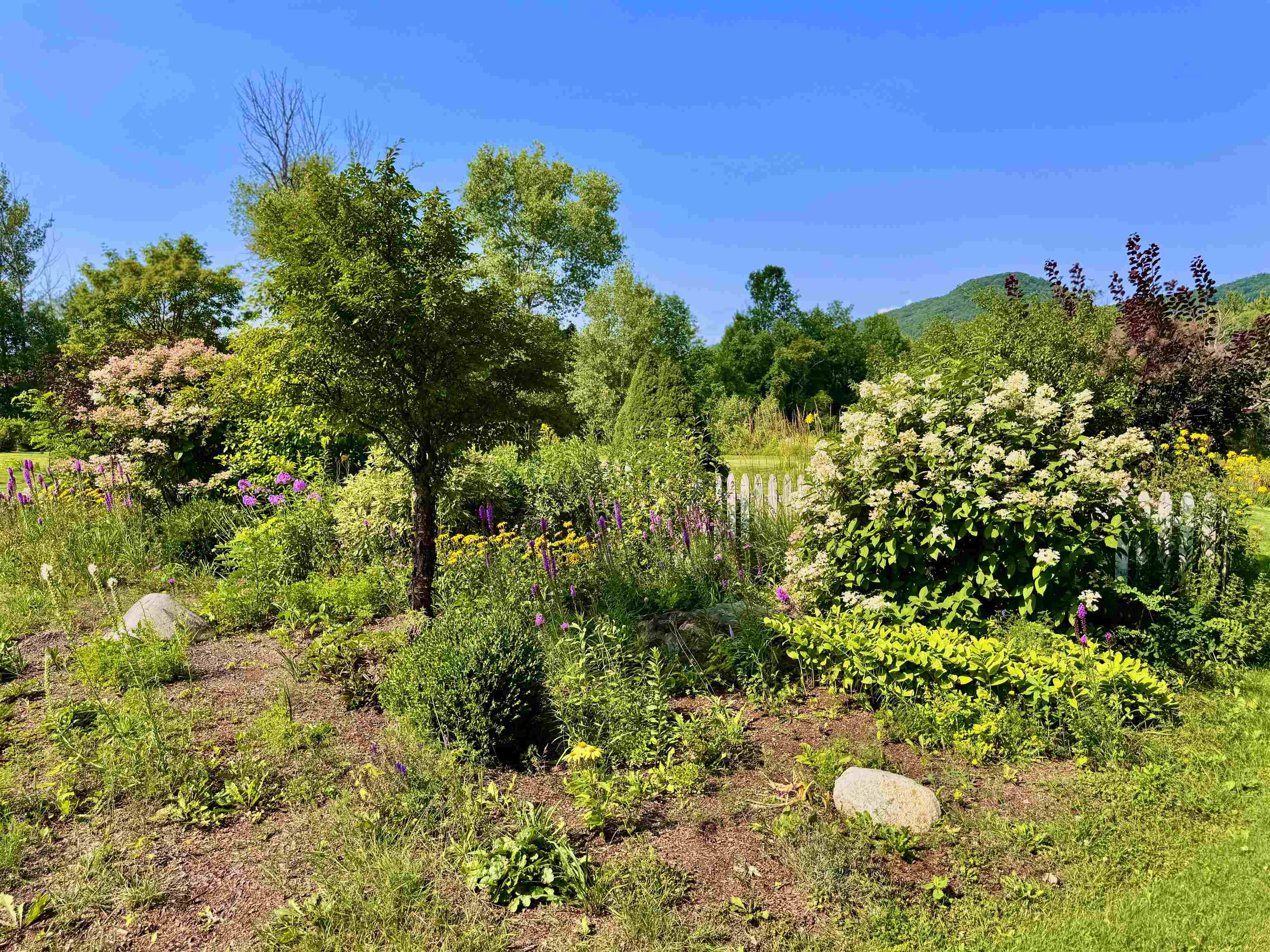 355 Websterville Road Property Photo 44