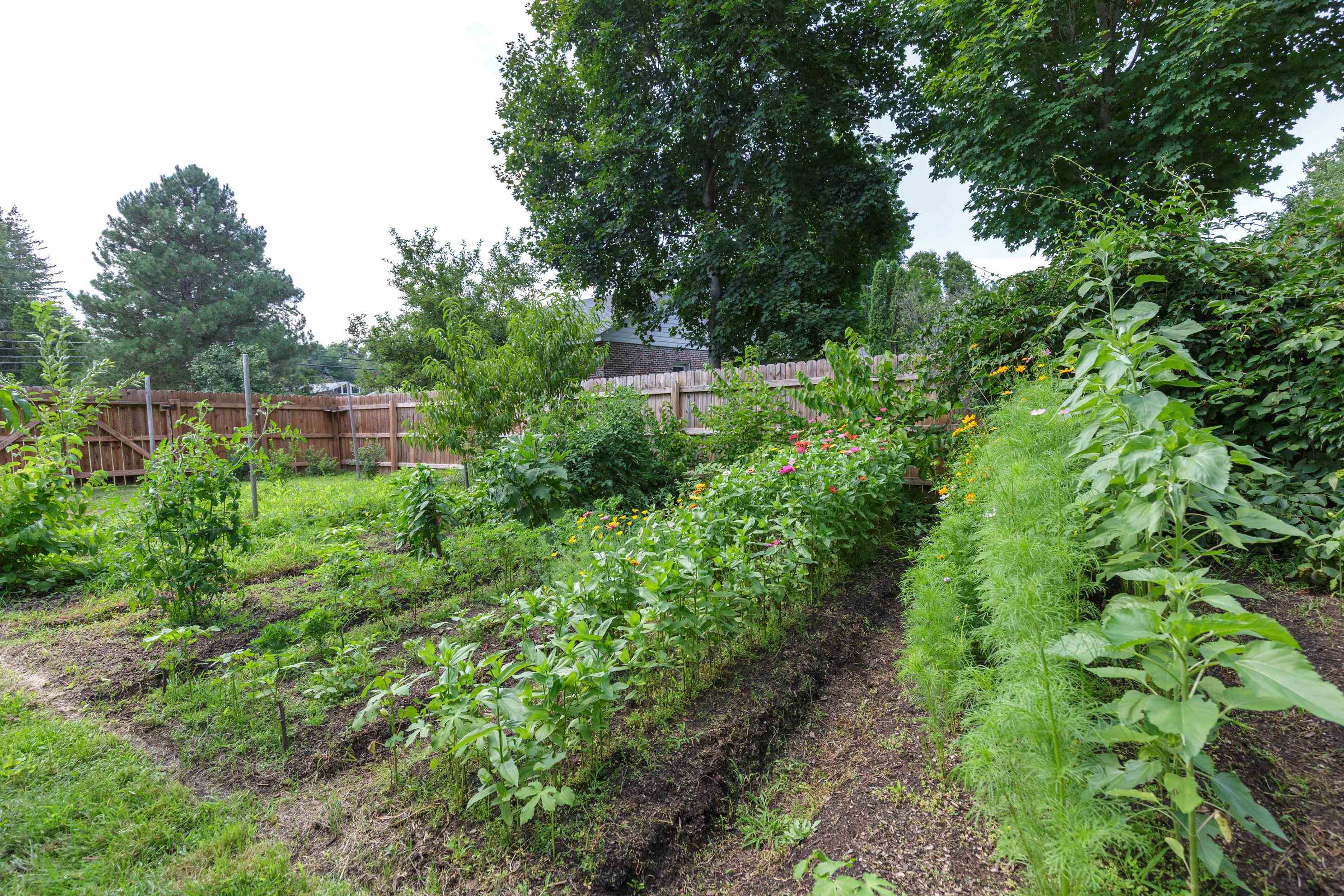 60 Mountain Road Property Photo 29