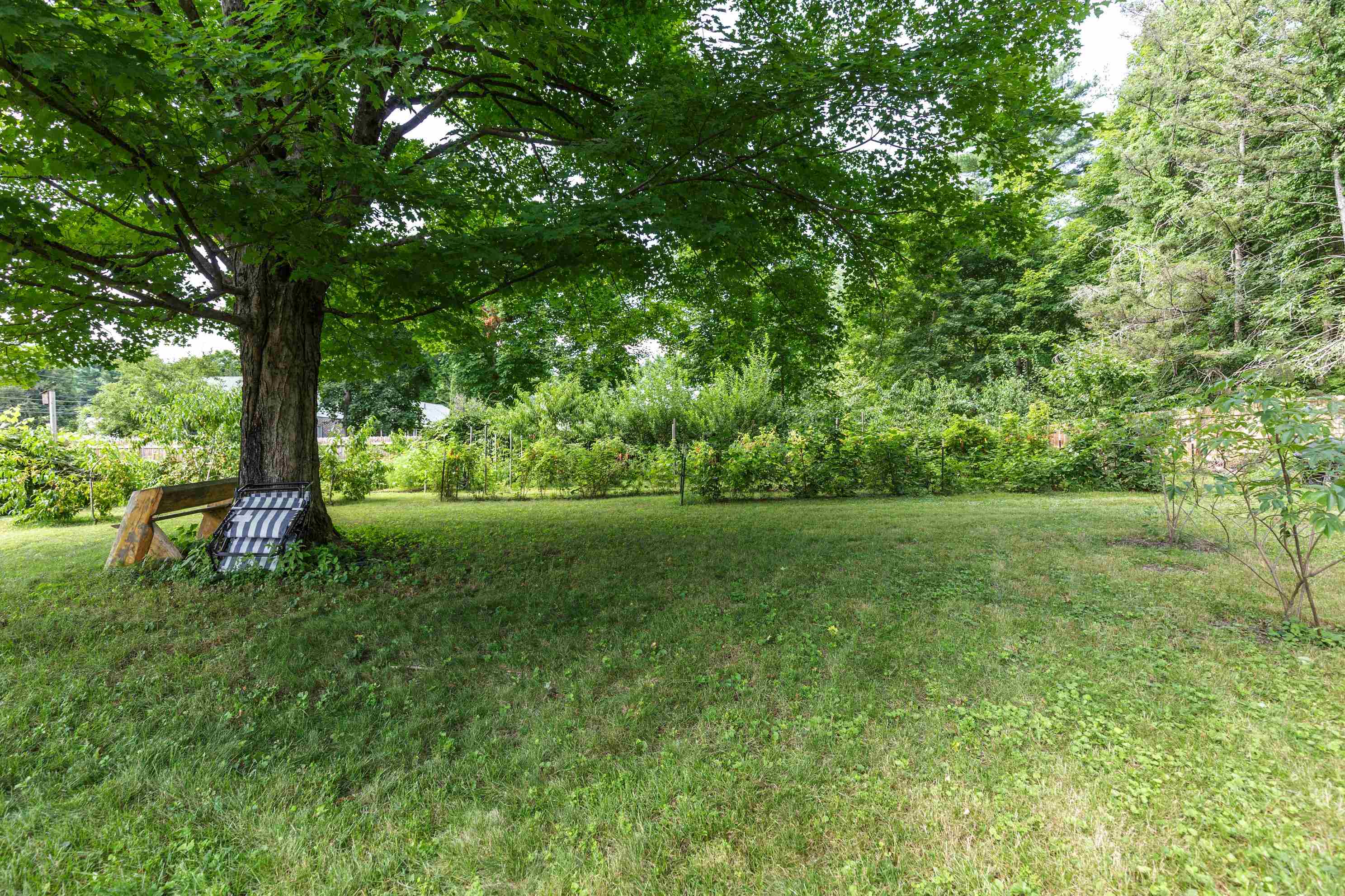 60 Mountain Road Property Photo 35