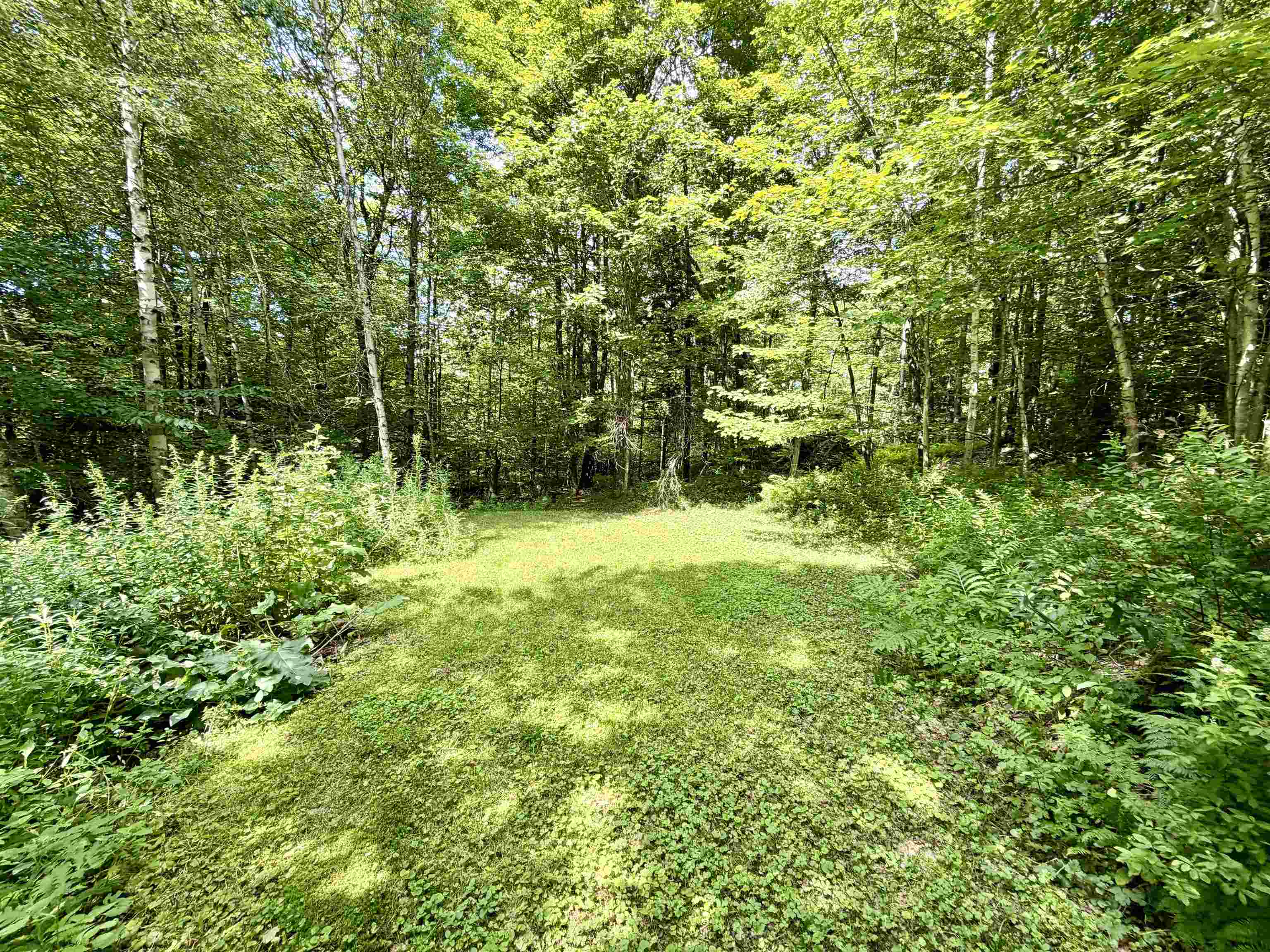 36 Timber Ridge Property Photo 44