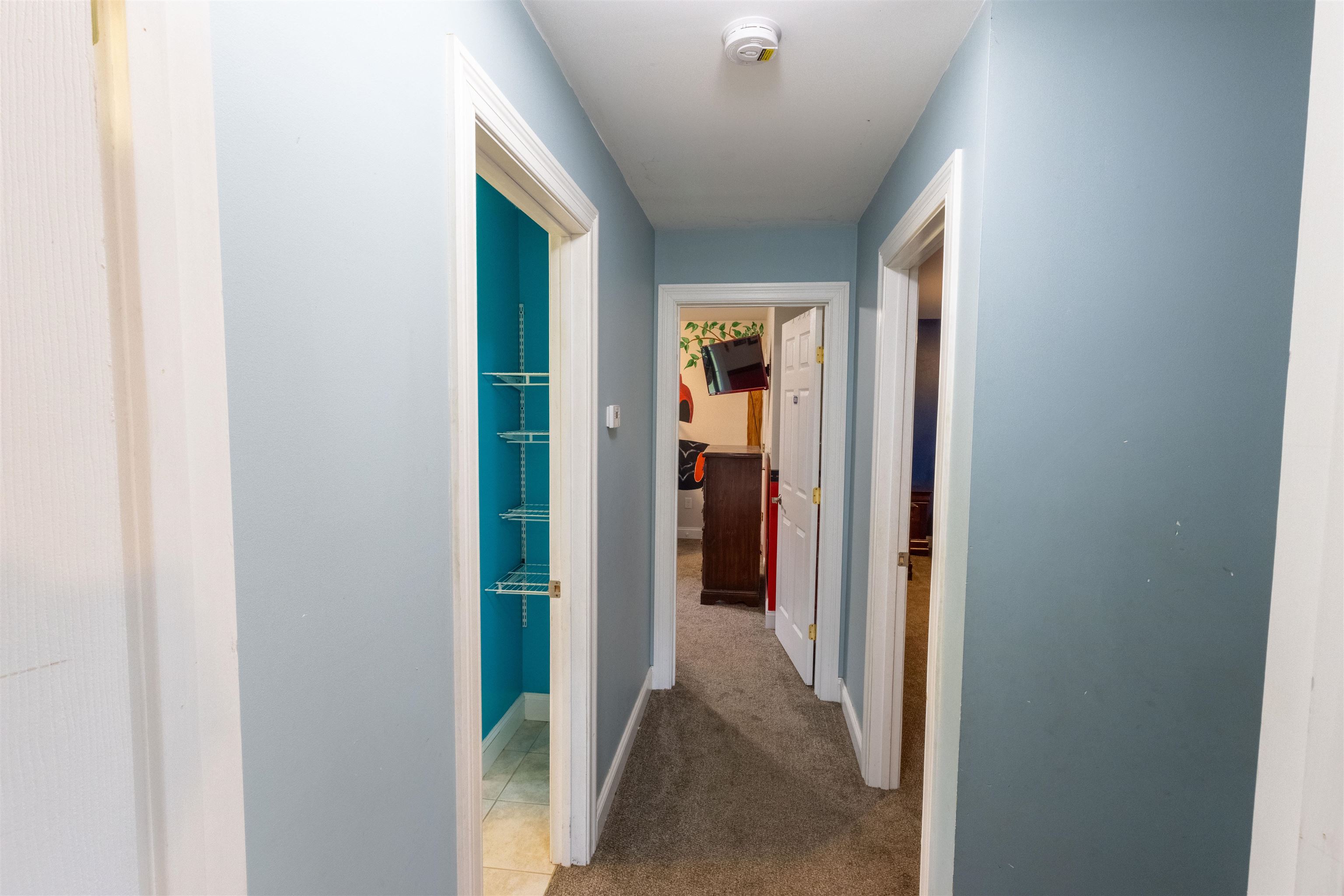 55 Raymo Drive Property Photo 34