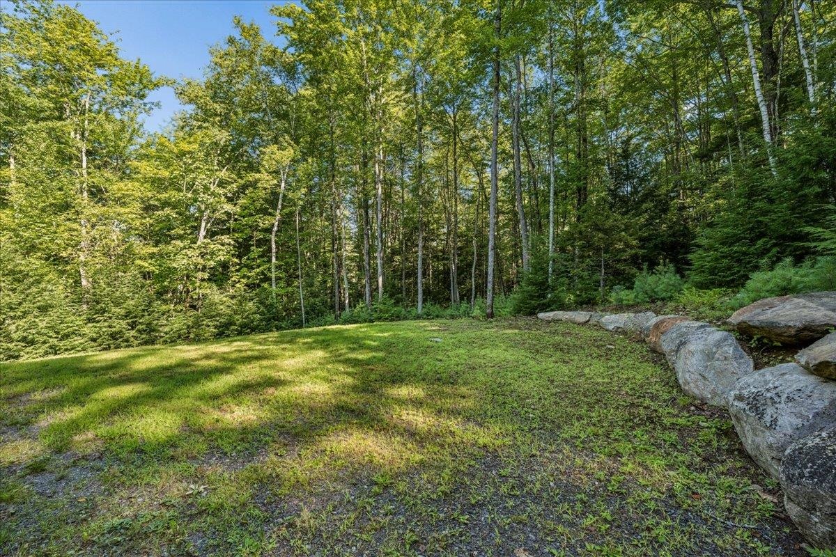 97 & 99 Wildwood Road Property Photo 3