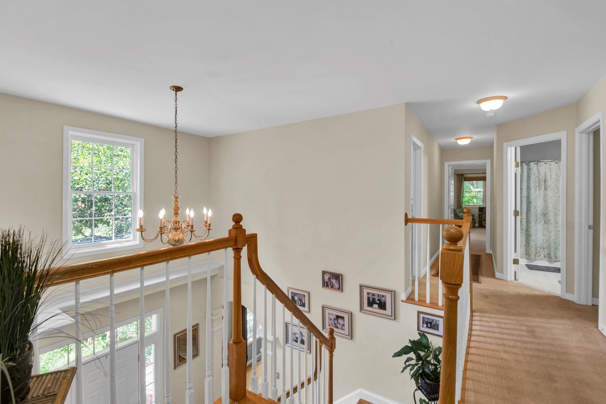 61 Sydney Drive Property Photo 22