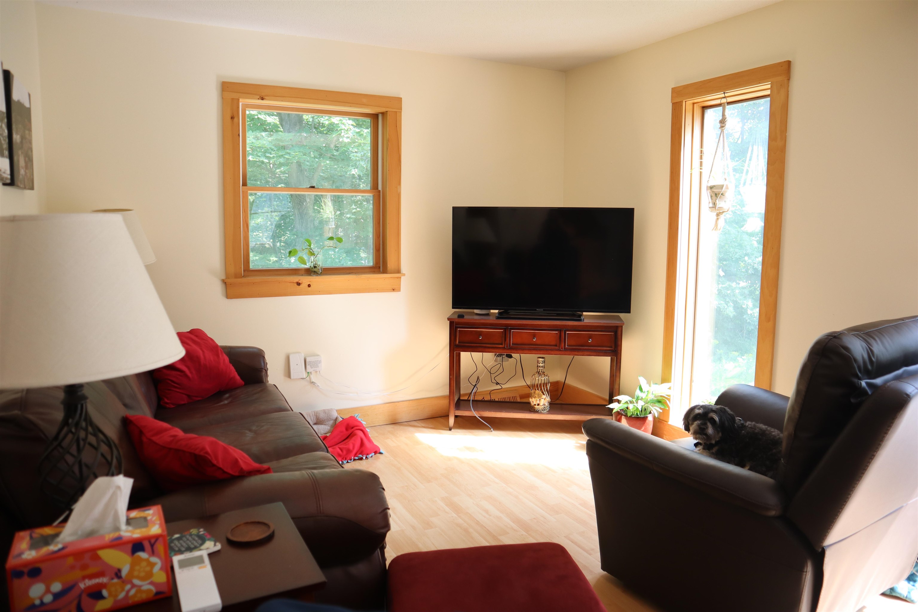 160 Mead Lane Property Photo 11