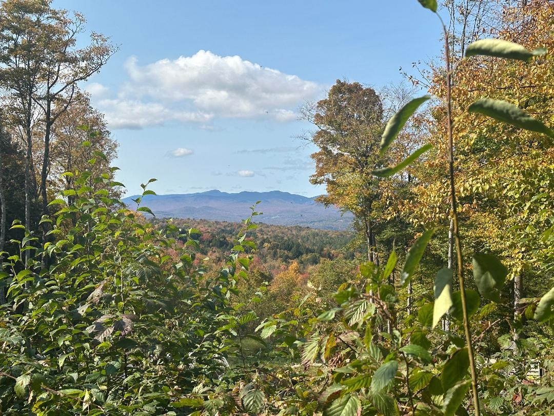0 Brookview Lane Property Photo 1