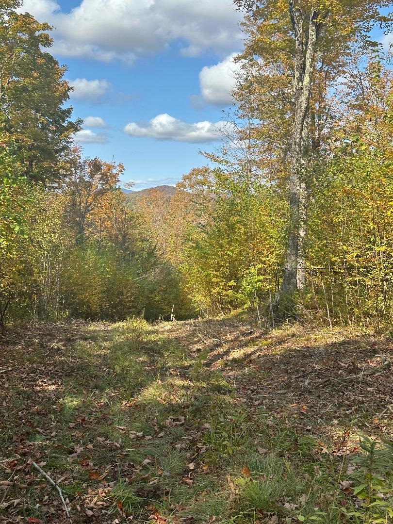 0 Brookview Lane Property Photo 6