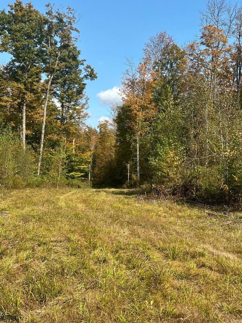 0 Brookview Lane Property Photo 8