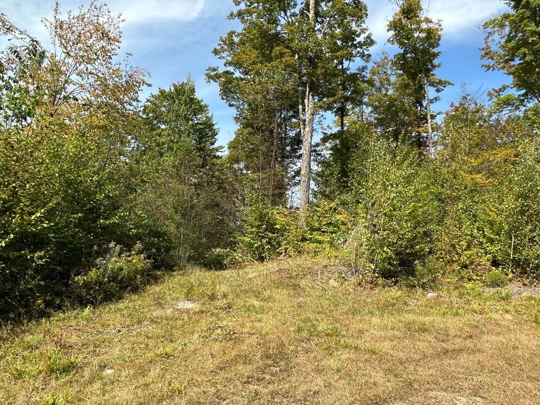 0 Brookview Lane Property Photo 9