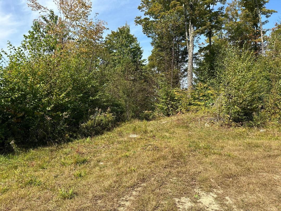 0 Brookview Lane Property Photo 11