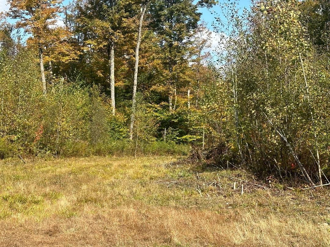 0 Brookview Lane Property Photo 12