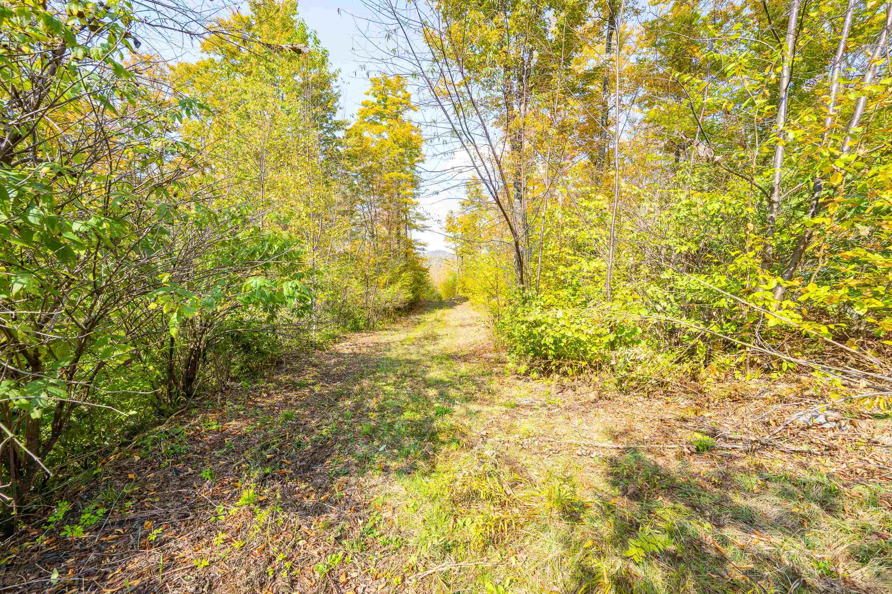 0 Brookview Lane Property Photo 38