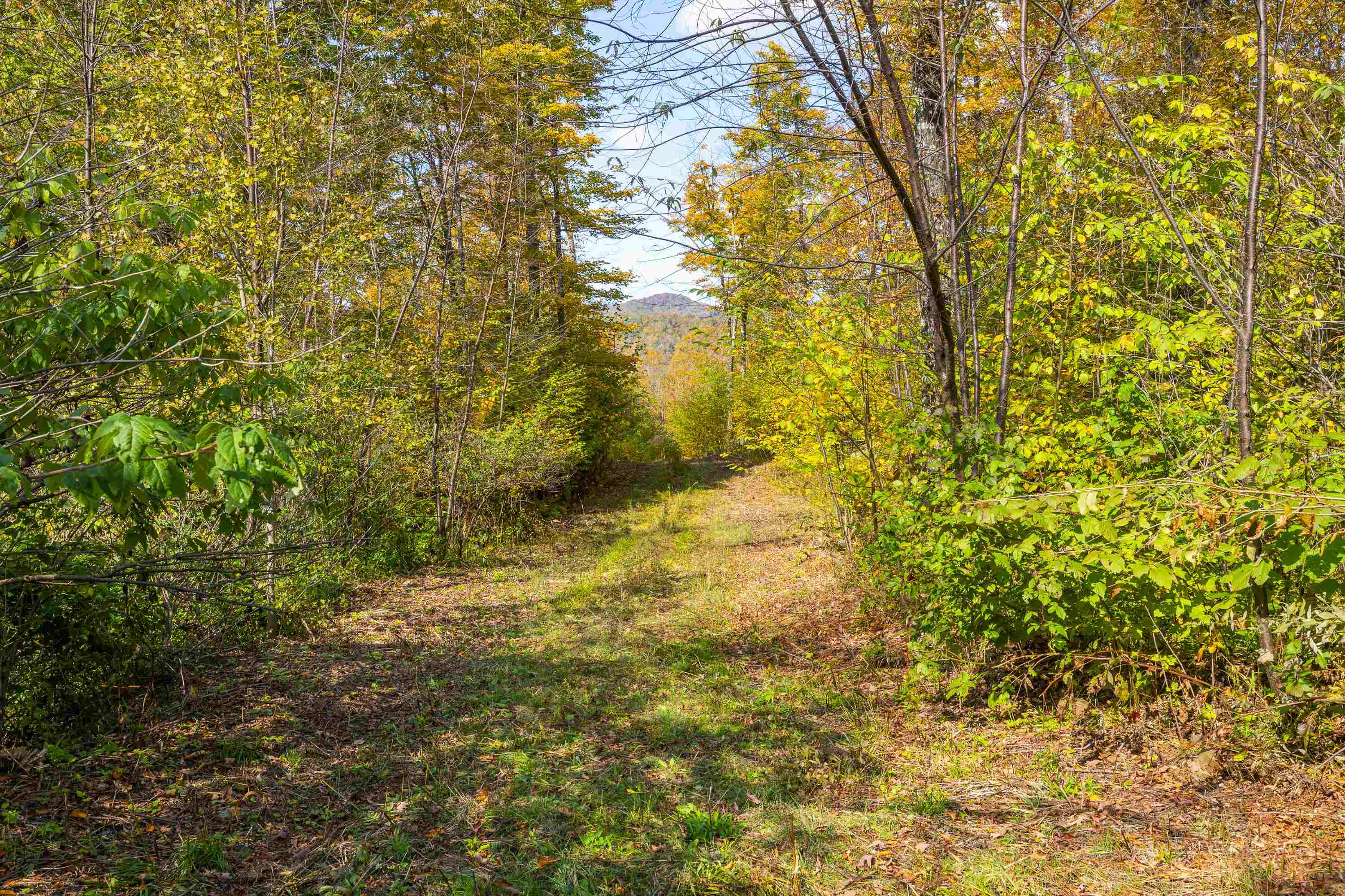 0 Brookview Lane Property Photo 39