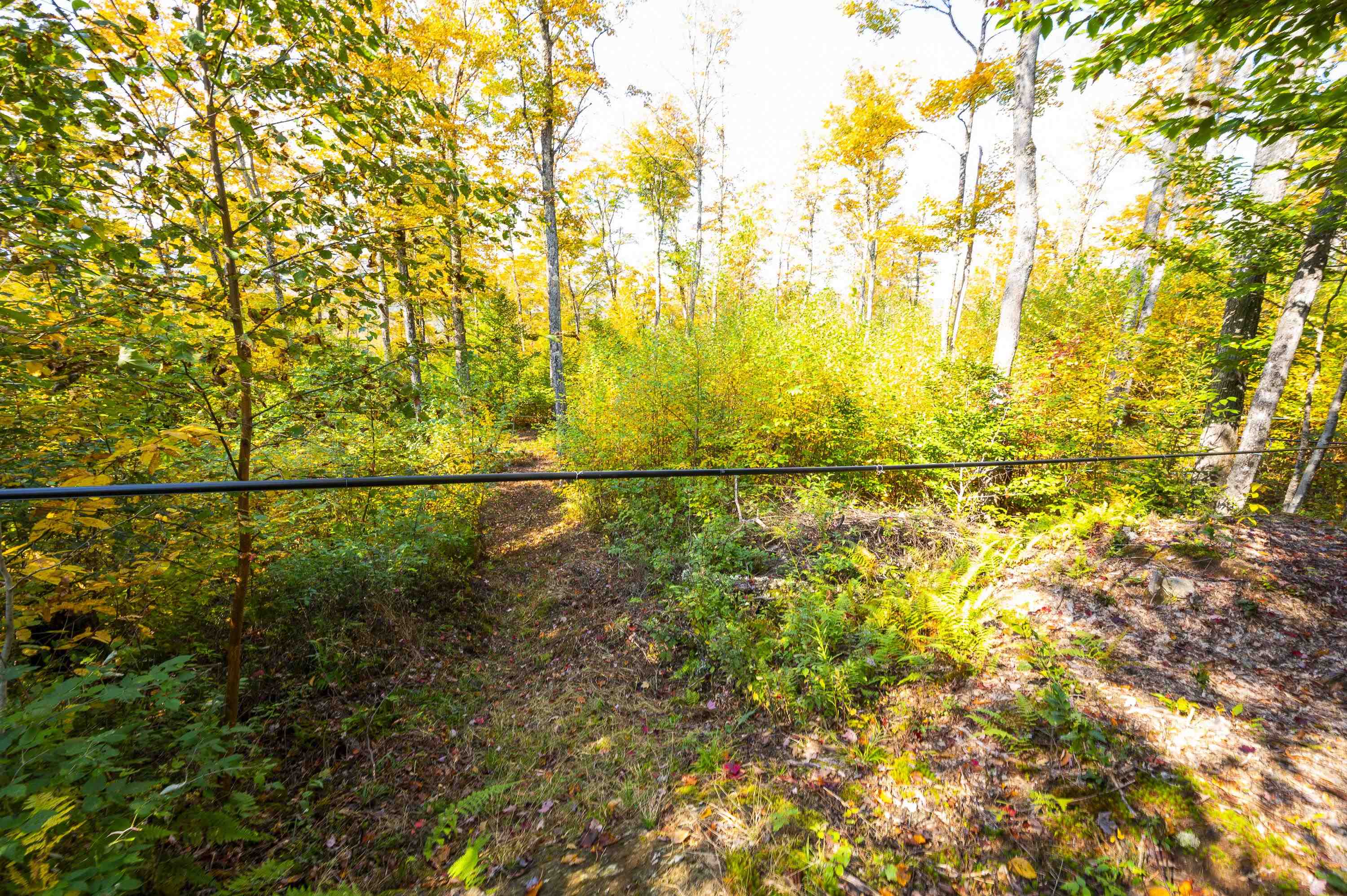 0 Brookview Lane Property Photo 43