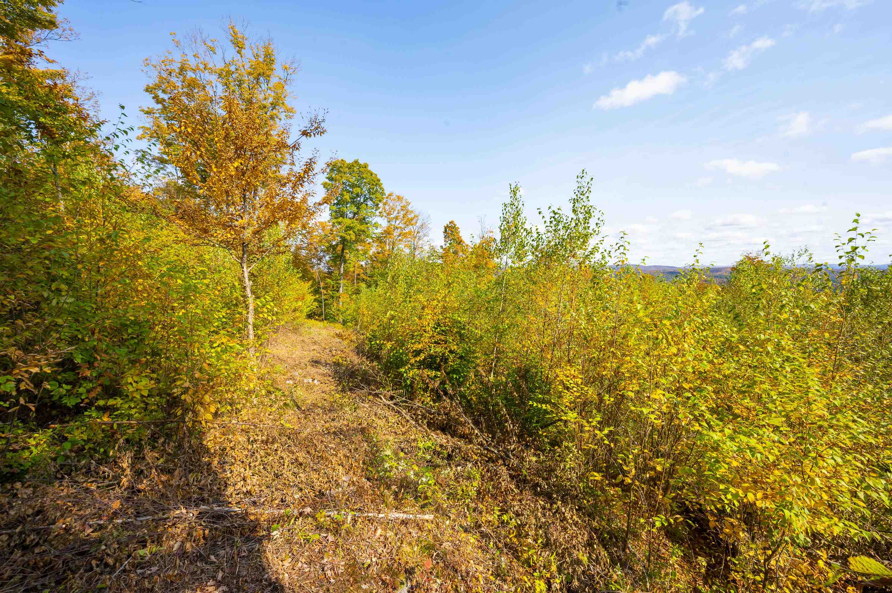 0 Brookview Lane Property Photo 44