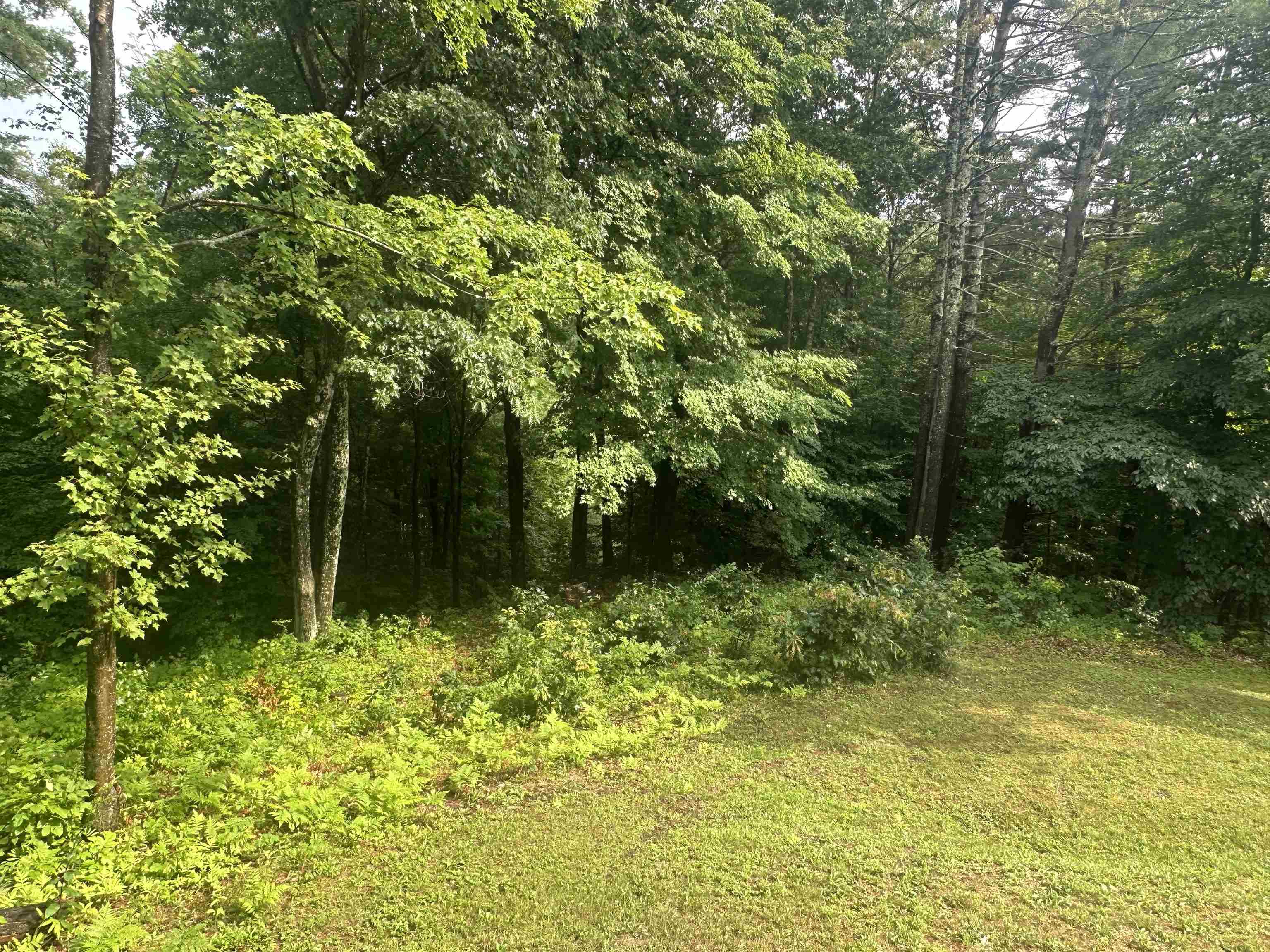 113 Fay Road Property Photo 23