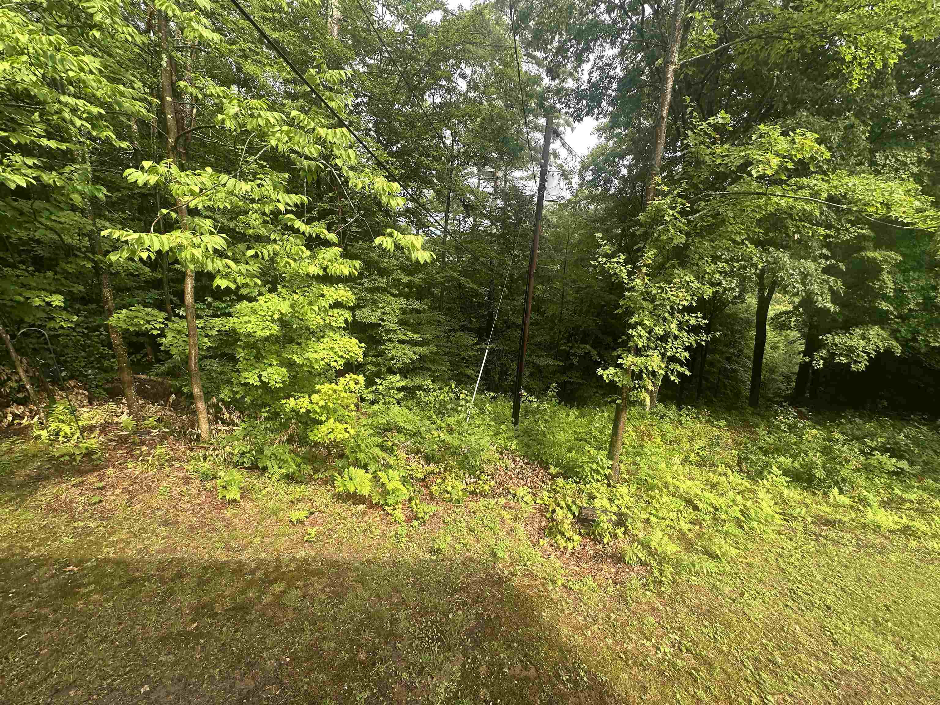 113 Fay Road Property Photo 40