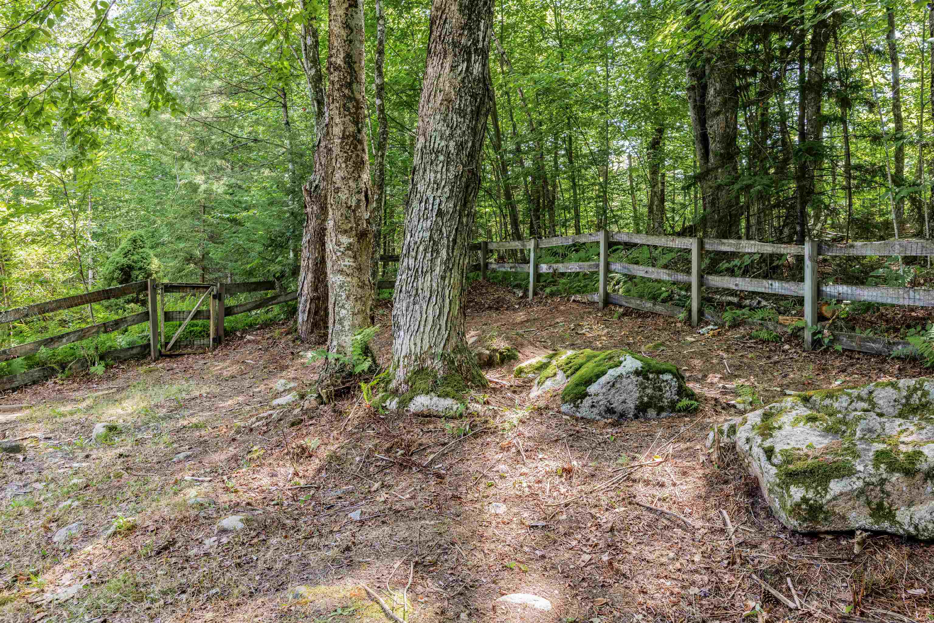 294 Forest Acres Road Property Photo 23