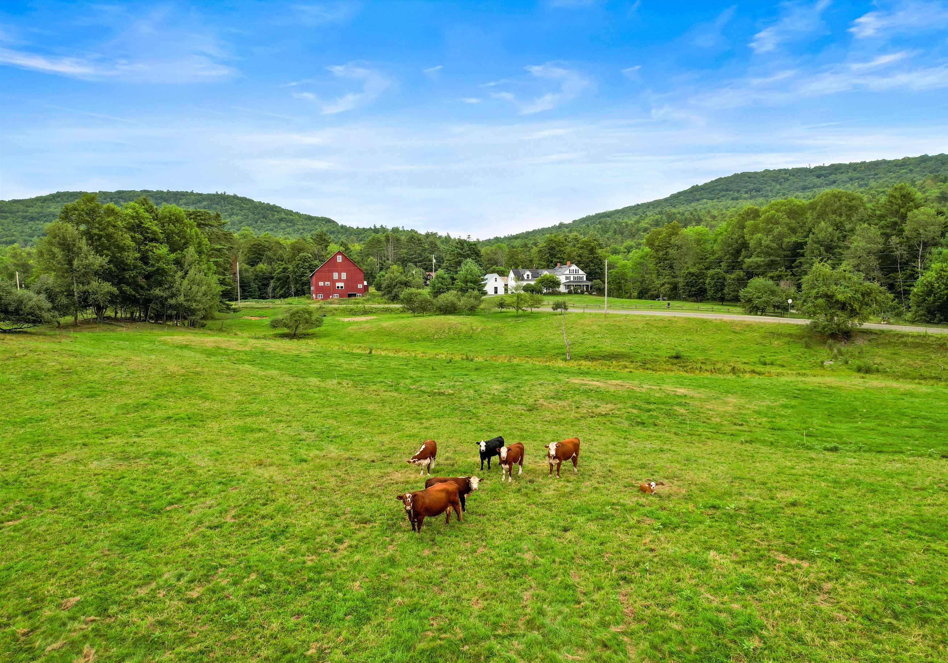 3517 Duck Pond Road Property Photo 57