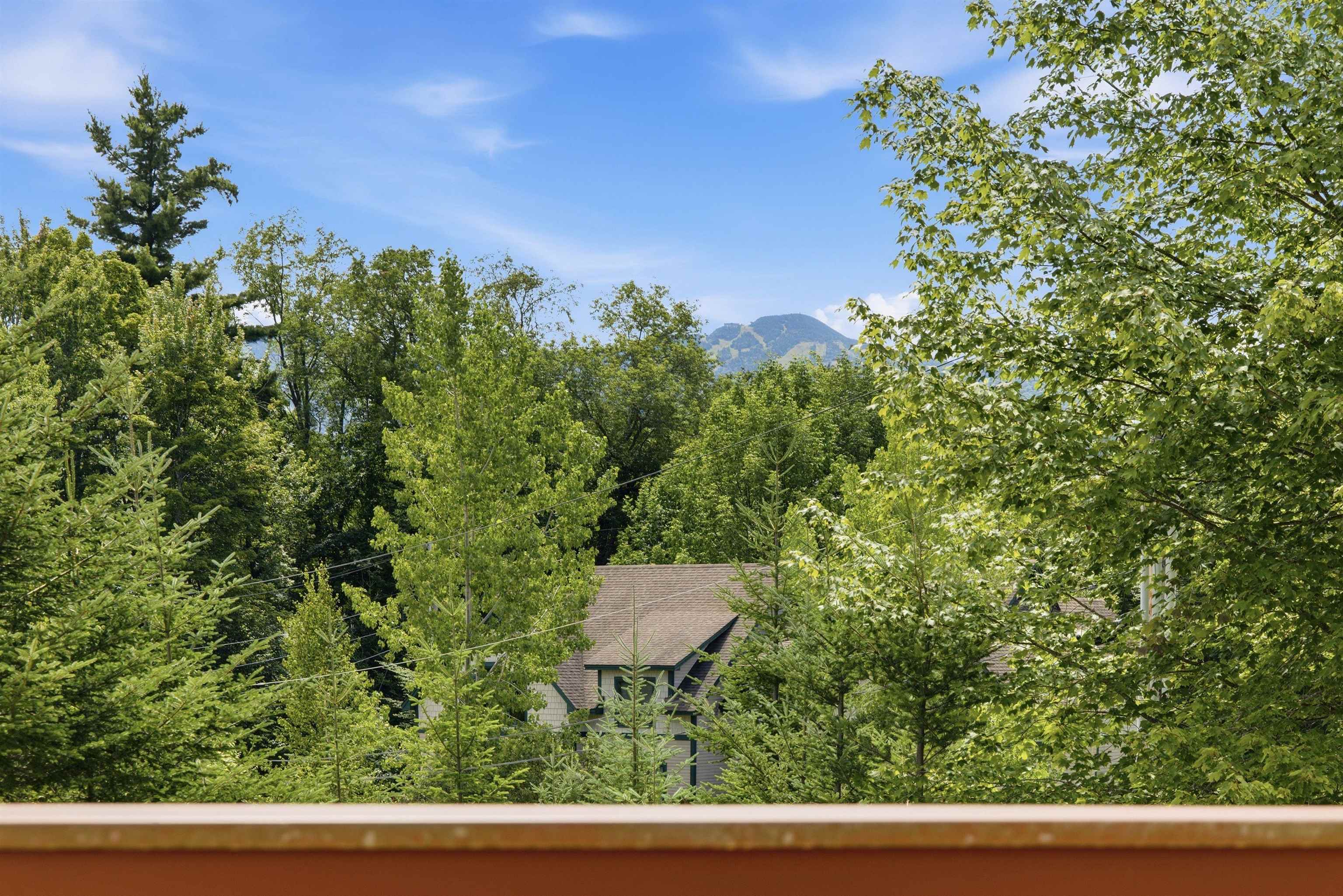 232 Burke Hollow Road Property Photo 1