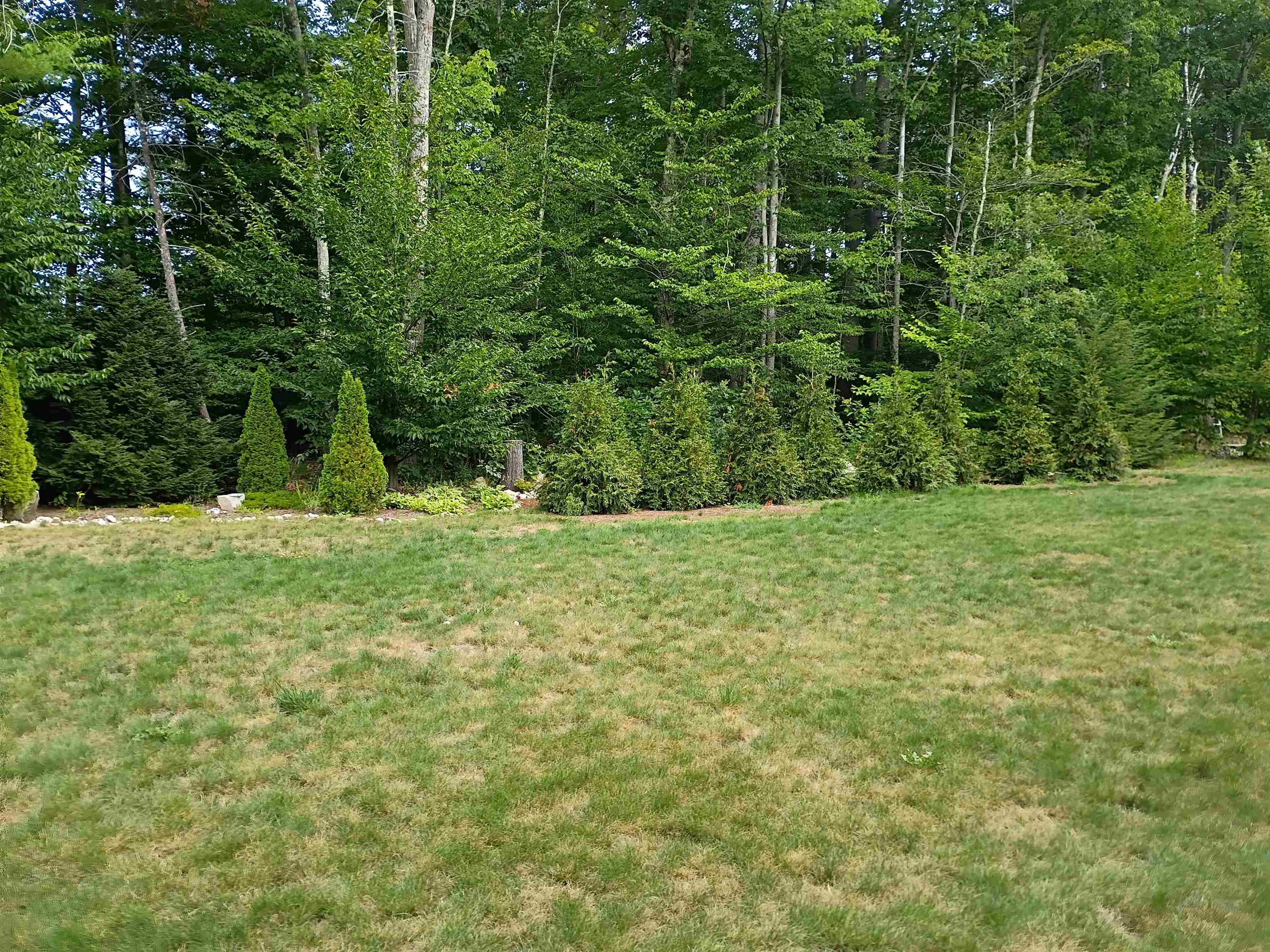19 Saco Street Property Photo 5
