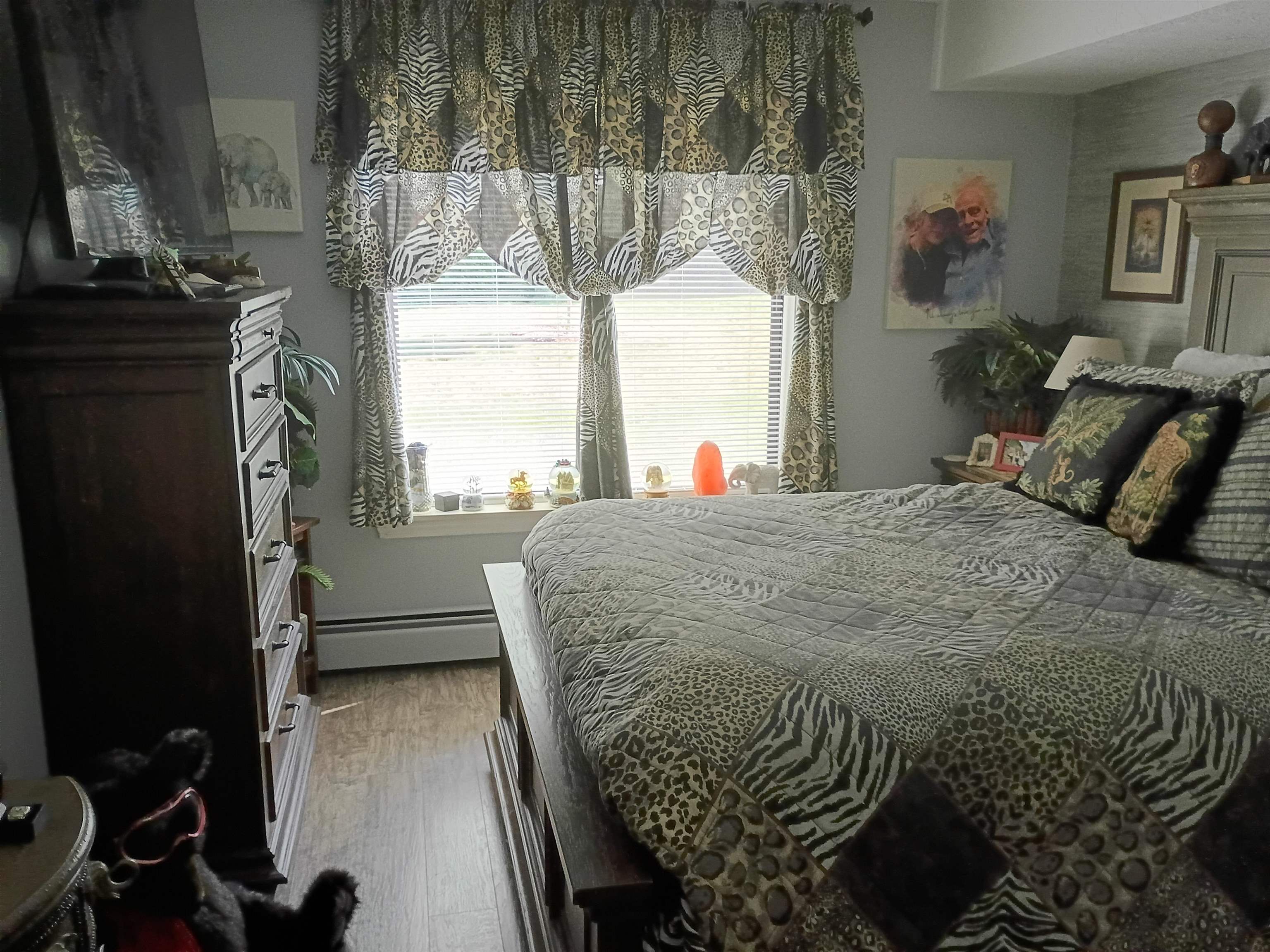 19 Saco Street Property Photo 12