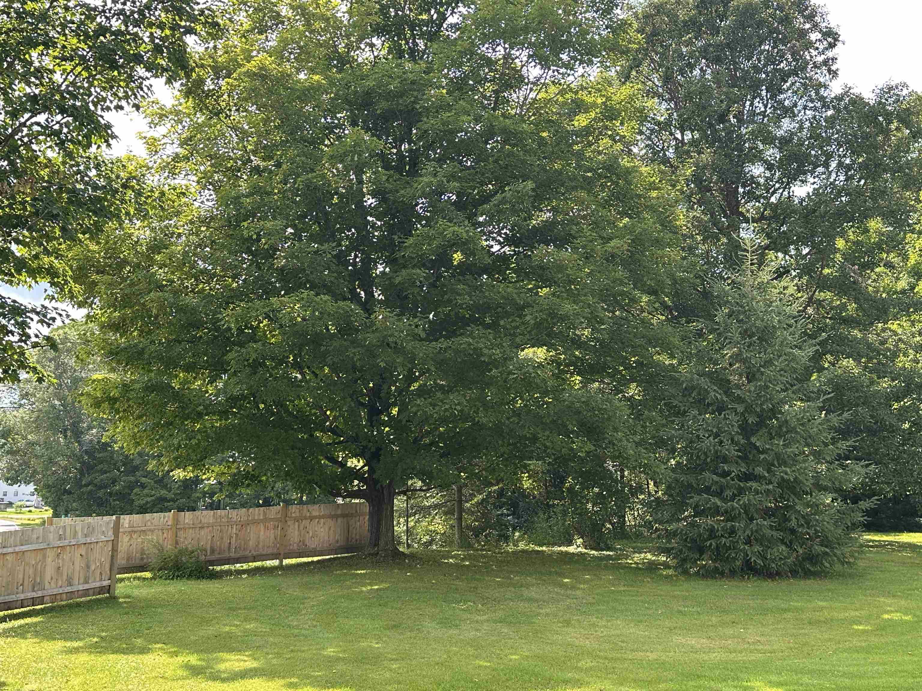 5047 Vt Route 100 Property Photo 12