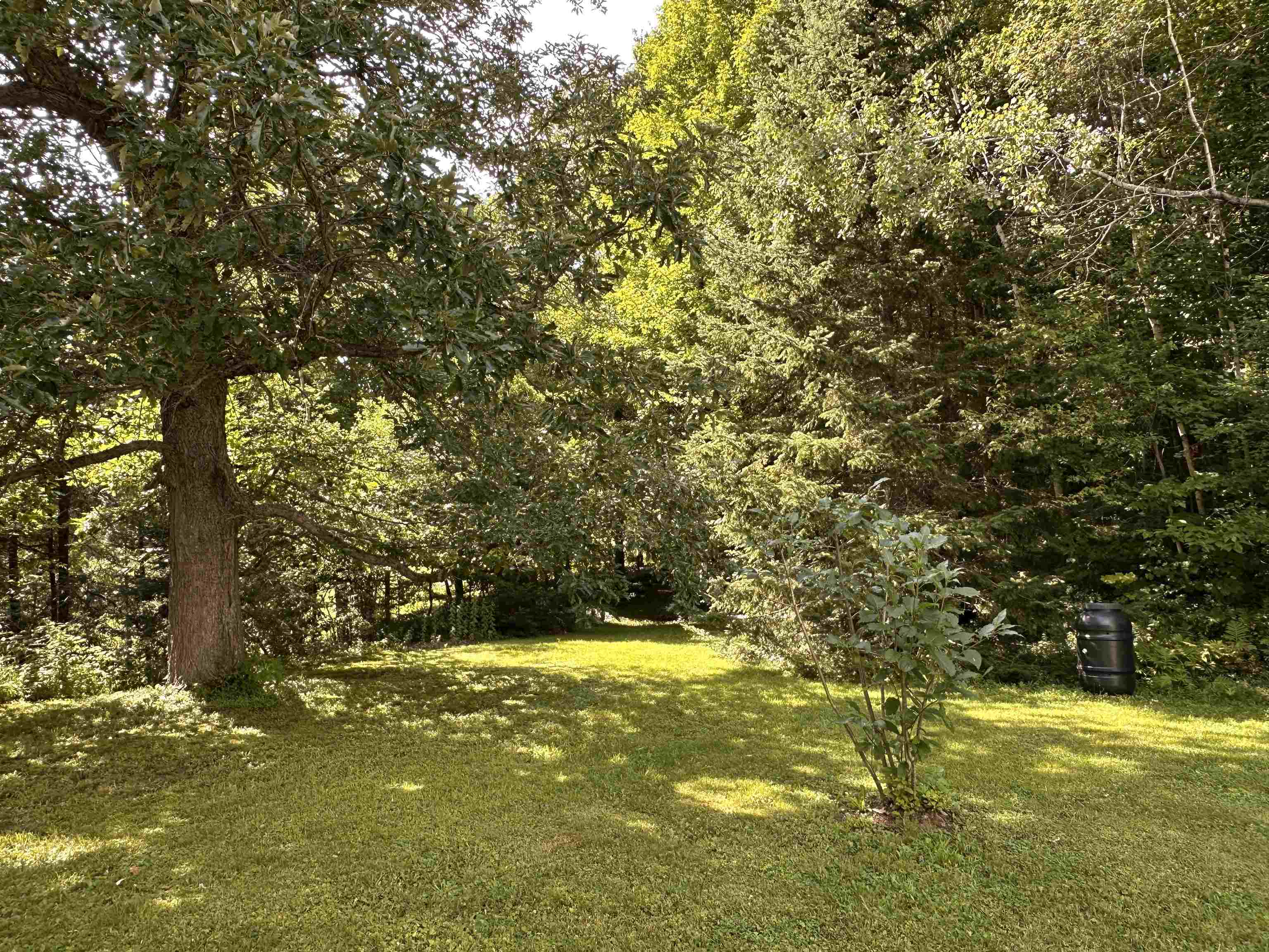 5047 Vt Route 100 Property Photo 13