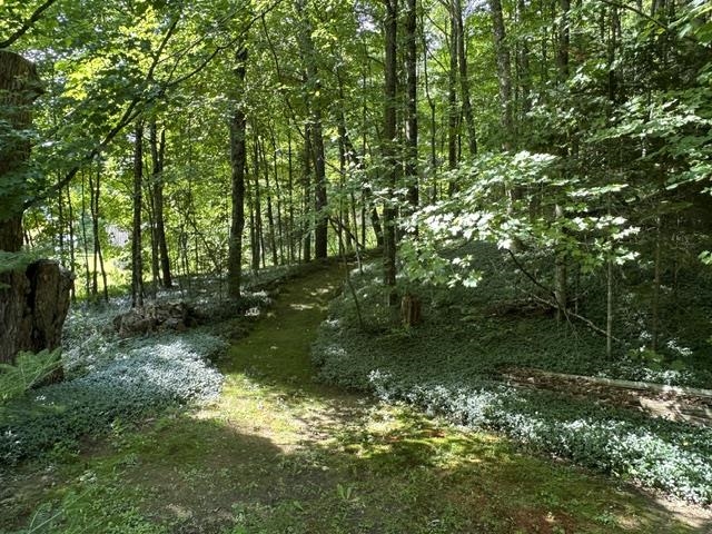 5047 Vt Route 100 Property Photo 14