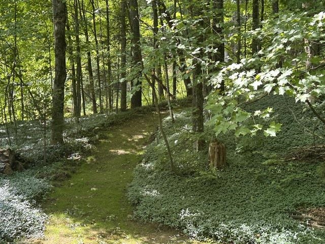 5047 Vt Route 100 Property Photo 15