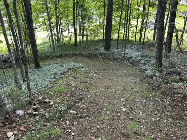 5047 Vt Route 100 Property Photo 16
