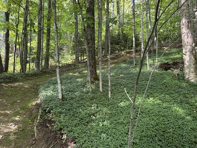 5047 Vt Route 100 Property Photo 17