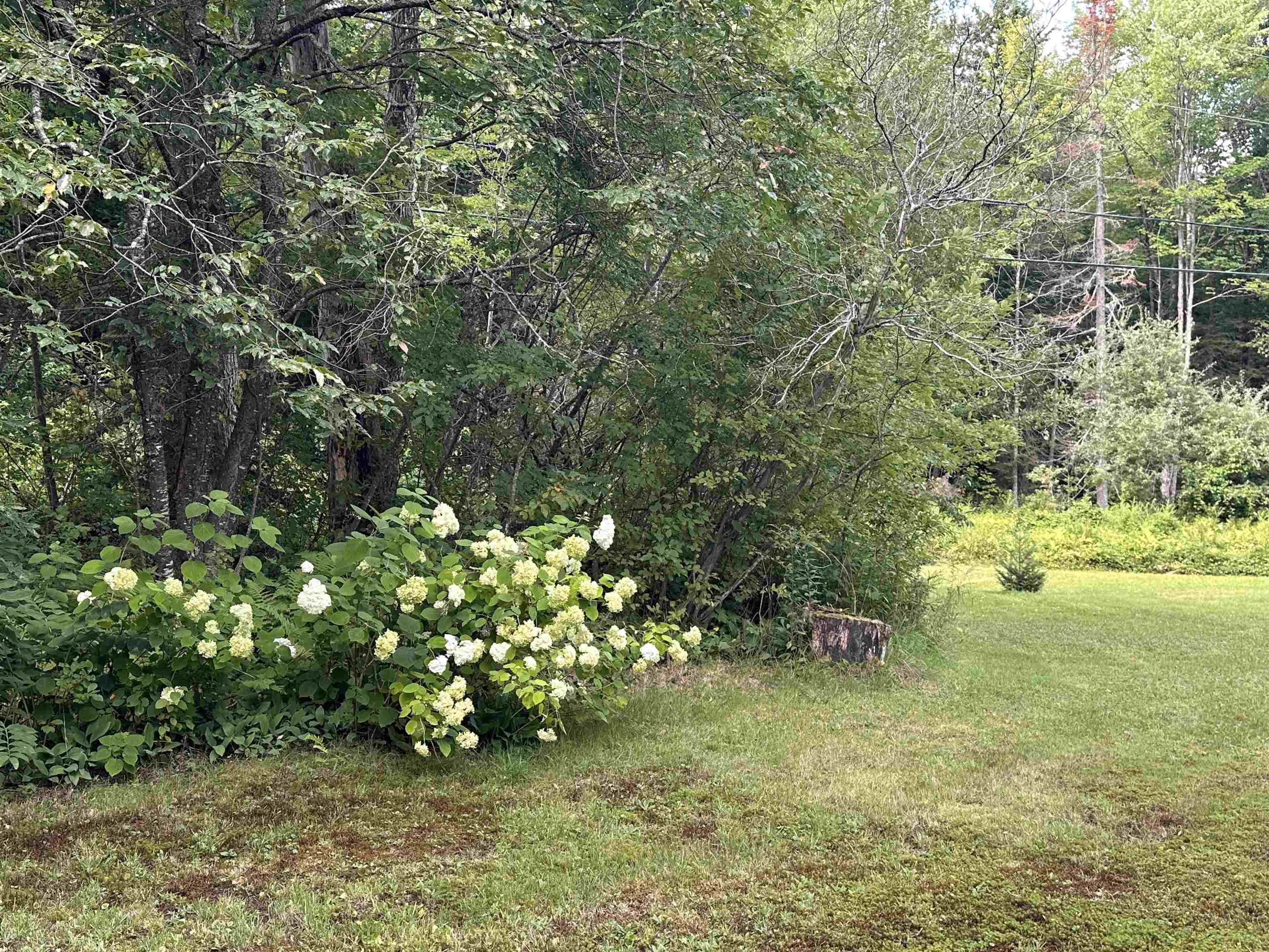 5047 Vt Route 100 Property Photo 18