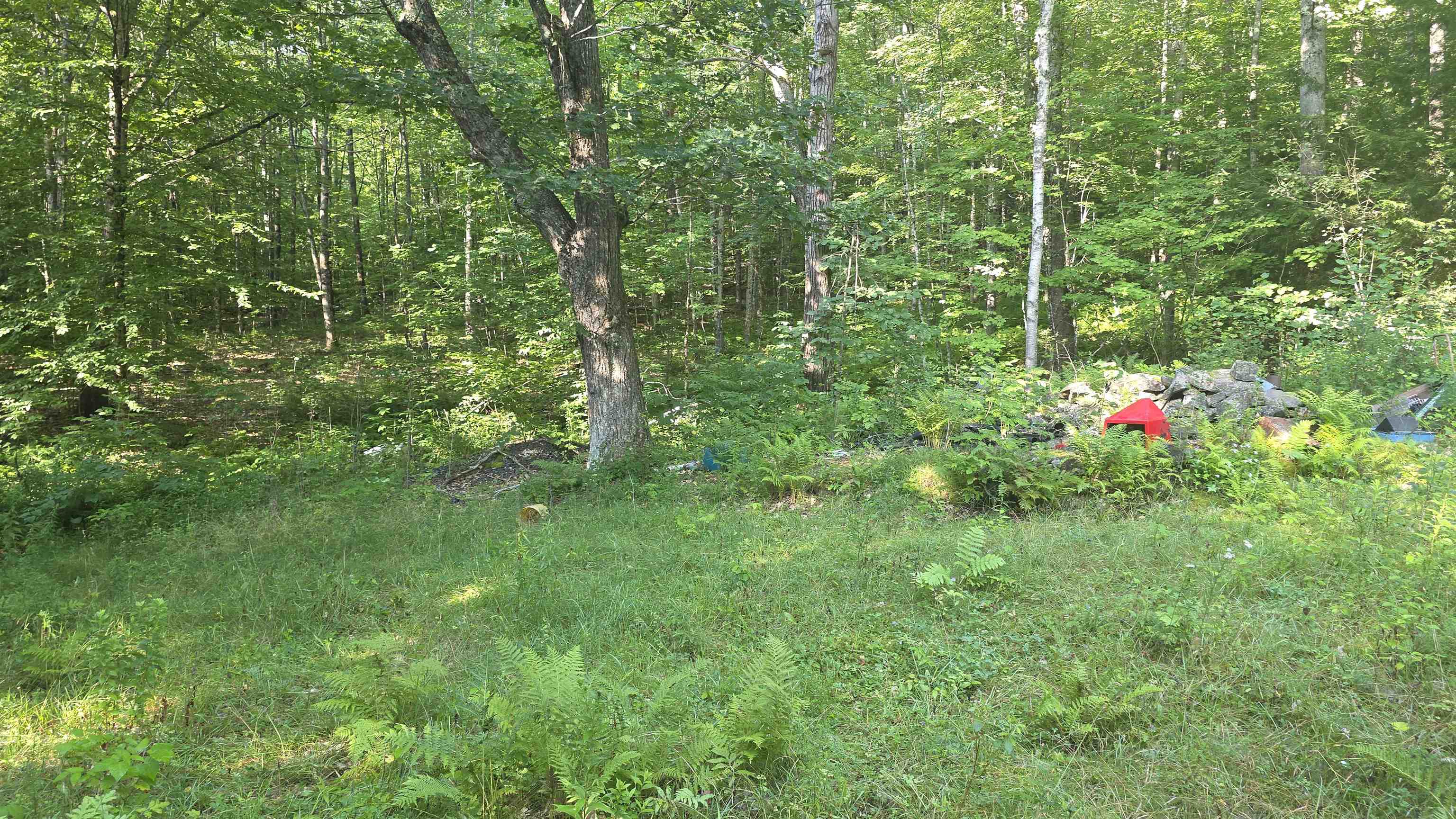 66 Goss Road Property Photo 5