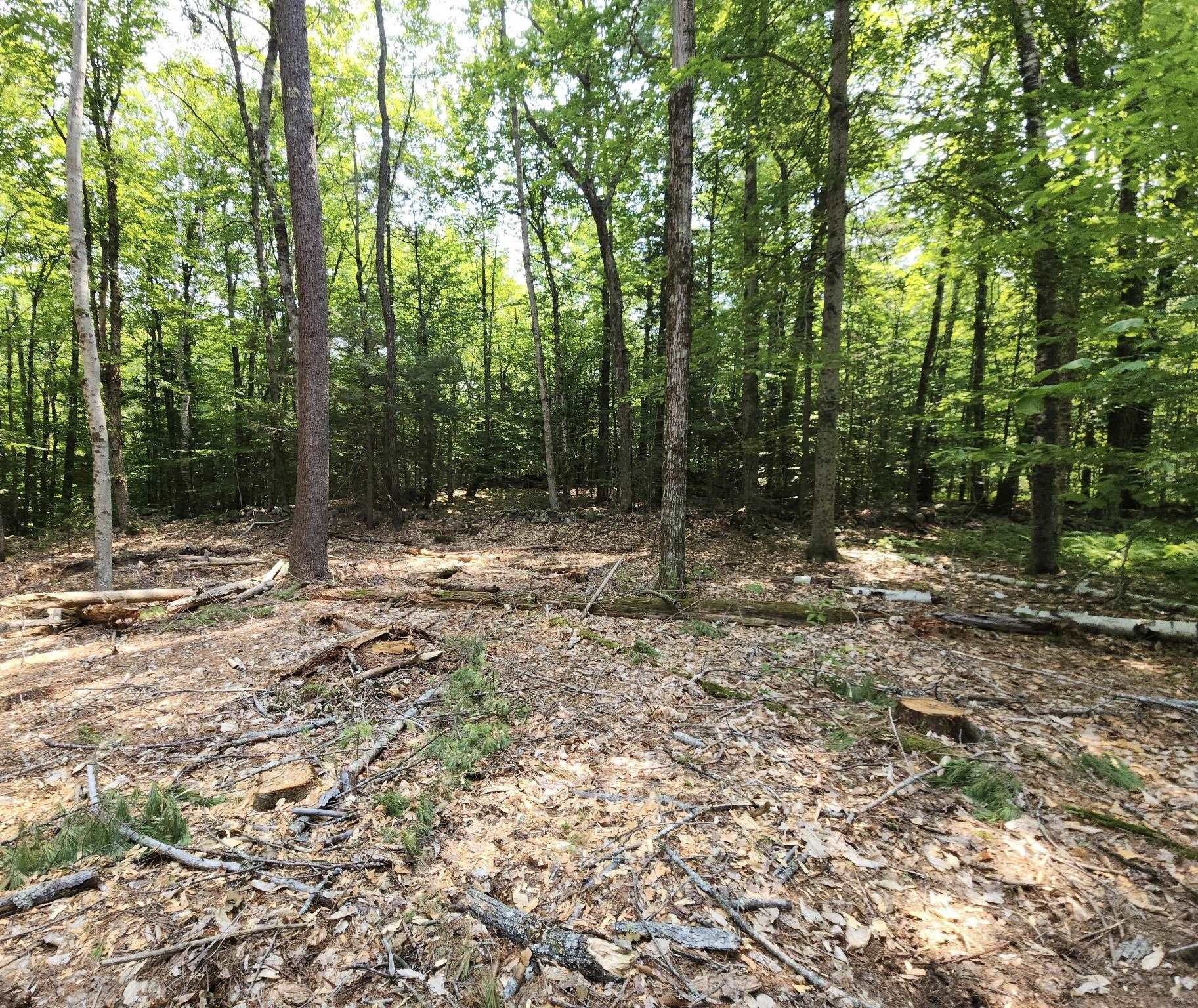 617/619 Route 103a Property Photo 10