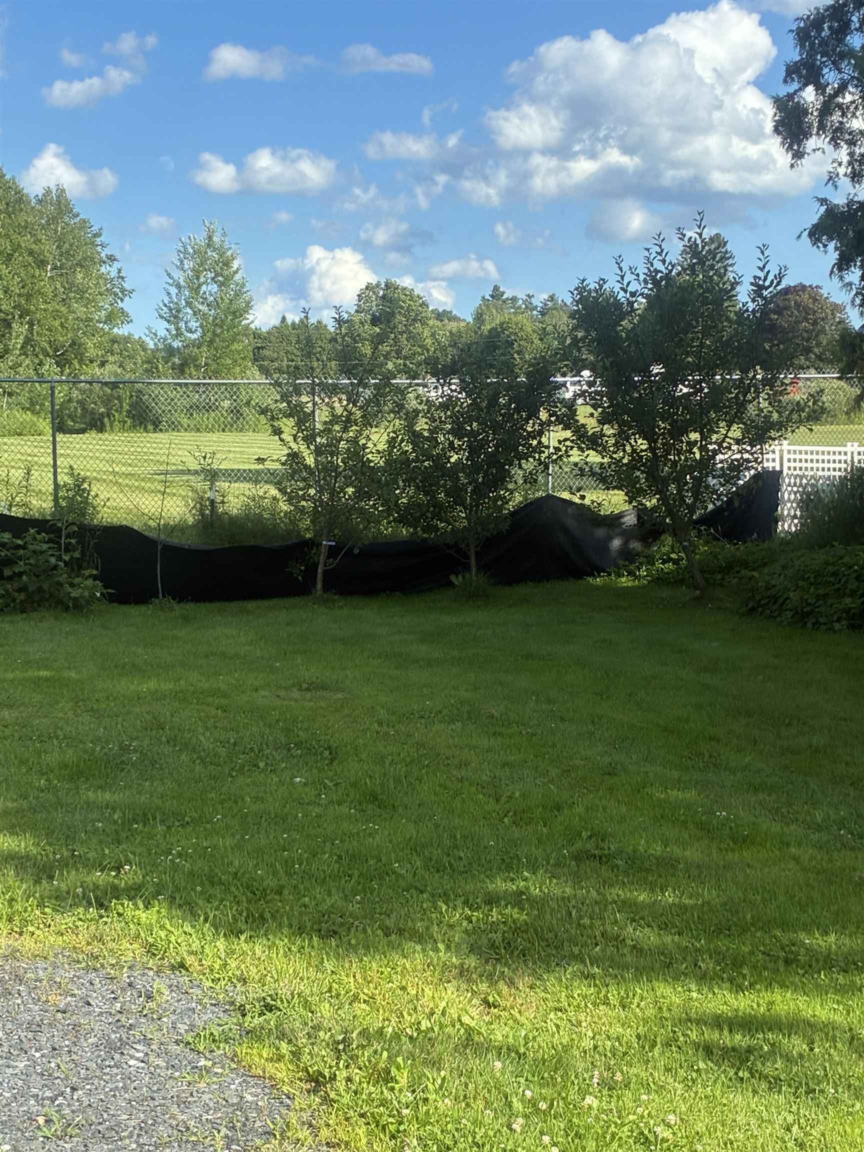 16 Carnes Road Property Photo 43