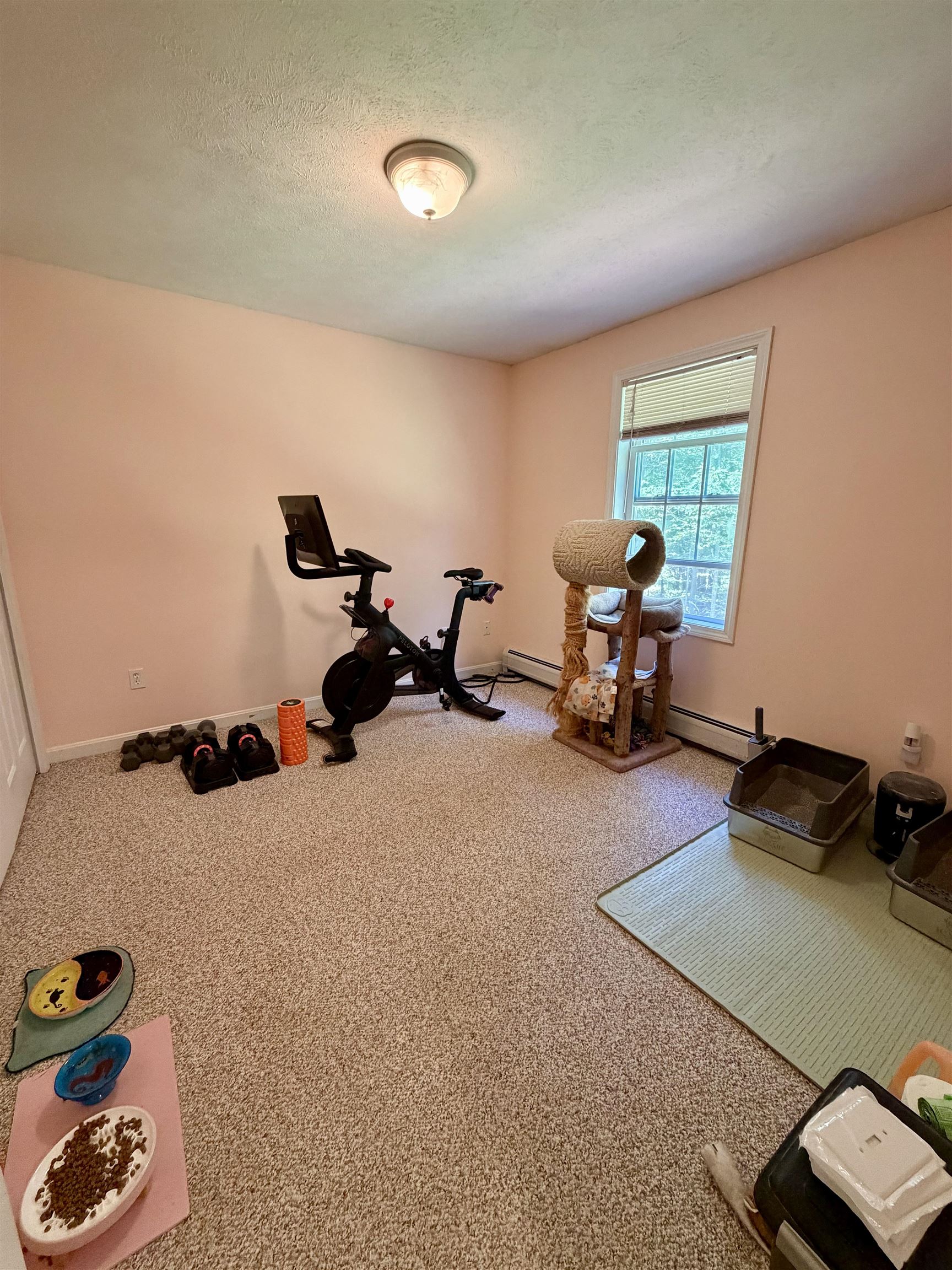 115 Onset Road Property Photo 13